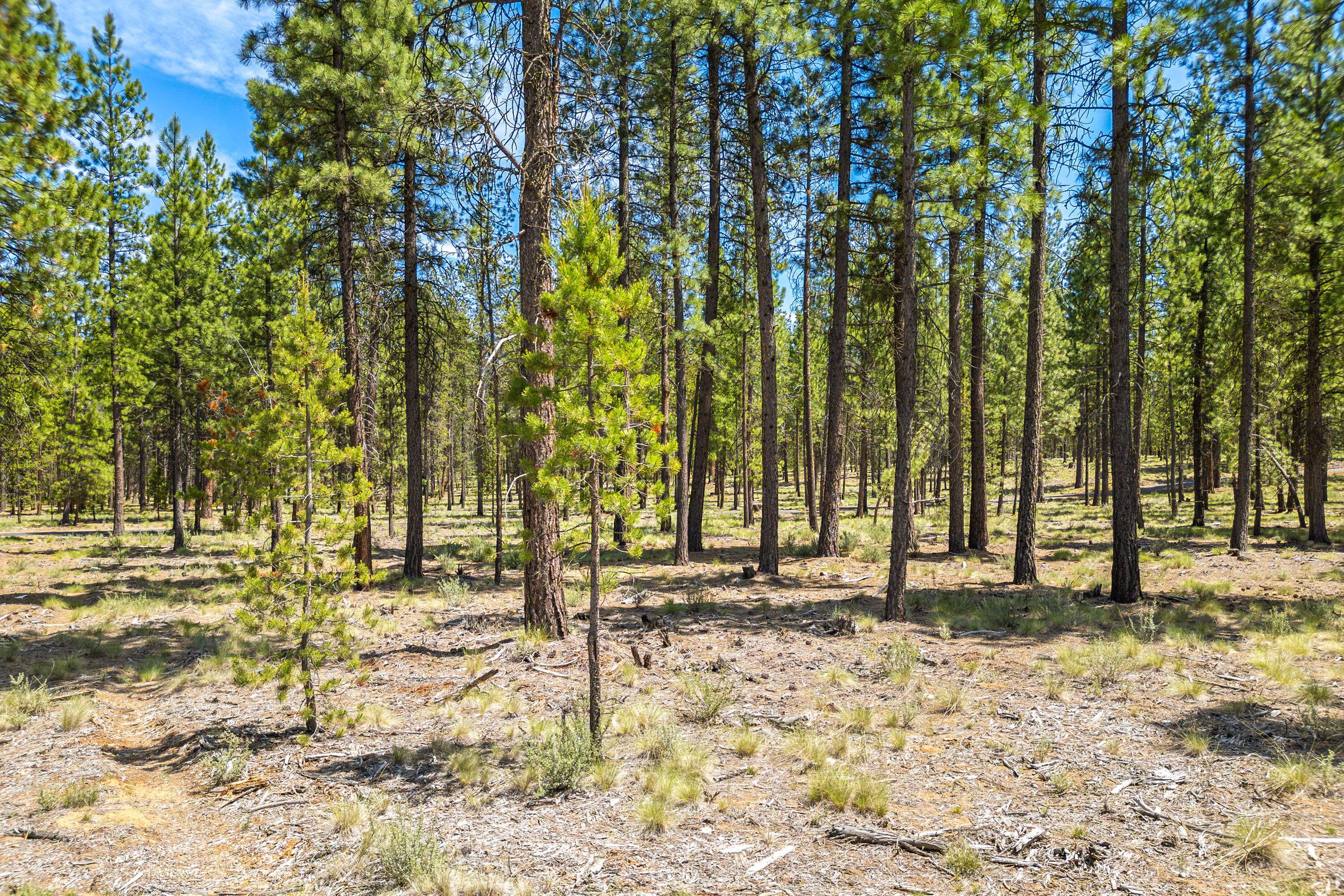 Bend, OR 97707,56281 Mirror Rock LOOP #Lot 362