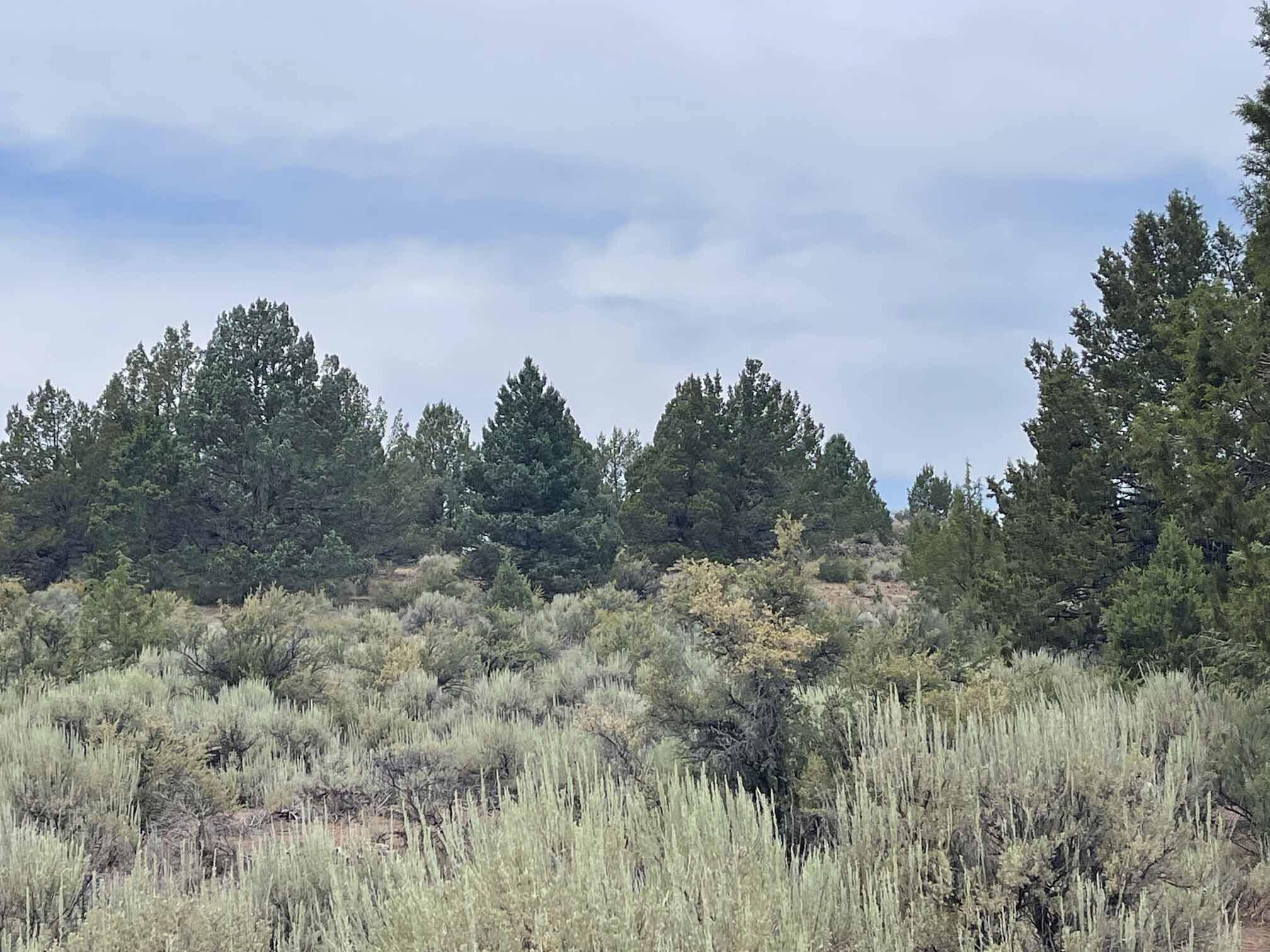 Chiloquin, OR 97624,Drews RD #L 14