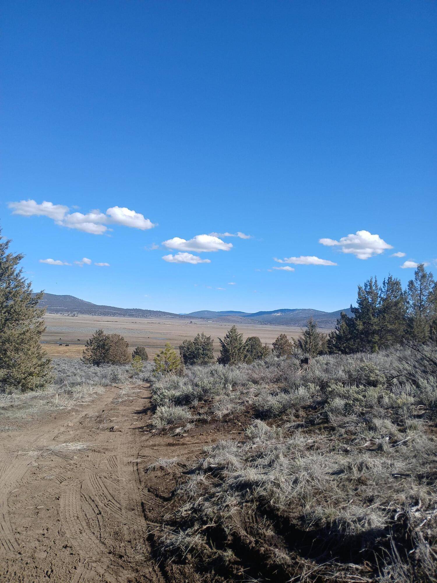 Beatty, OR 97621,Drews RD