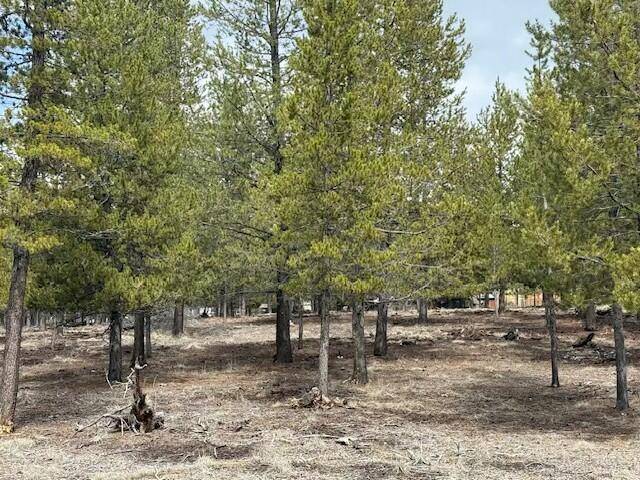 La Pine, OR 97739,Beechwood DR #18