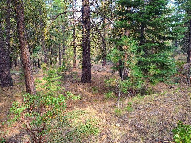 Bonanza, OR 97623,Yak LN