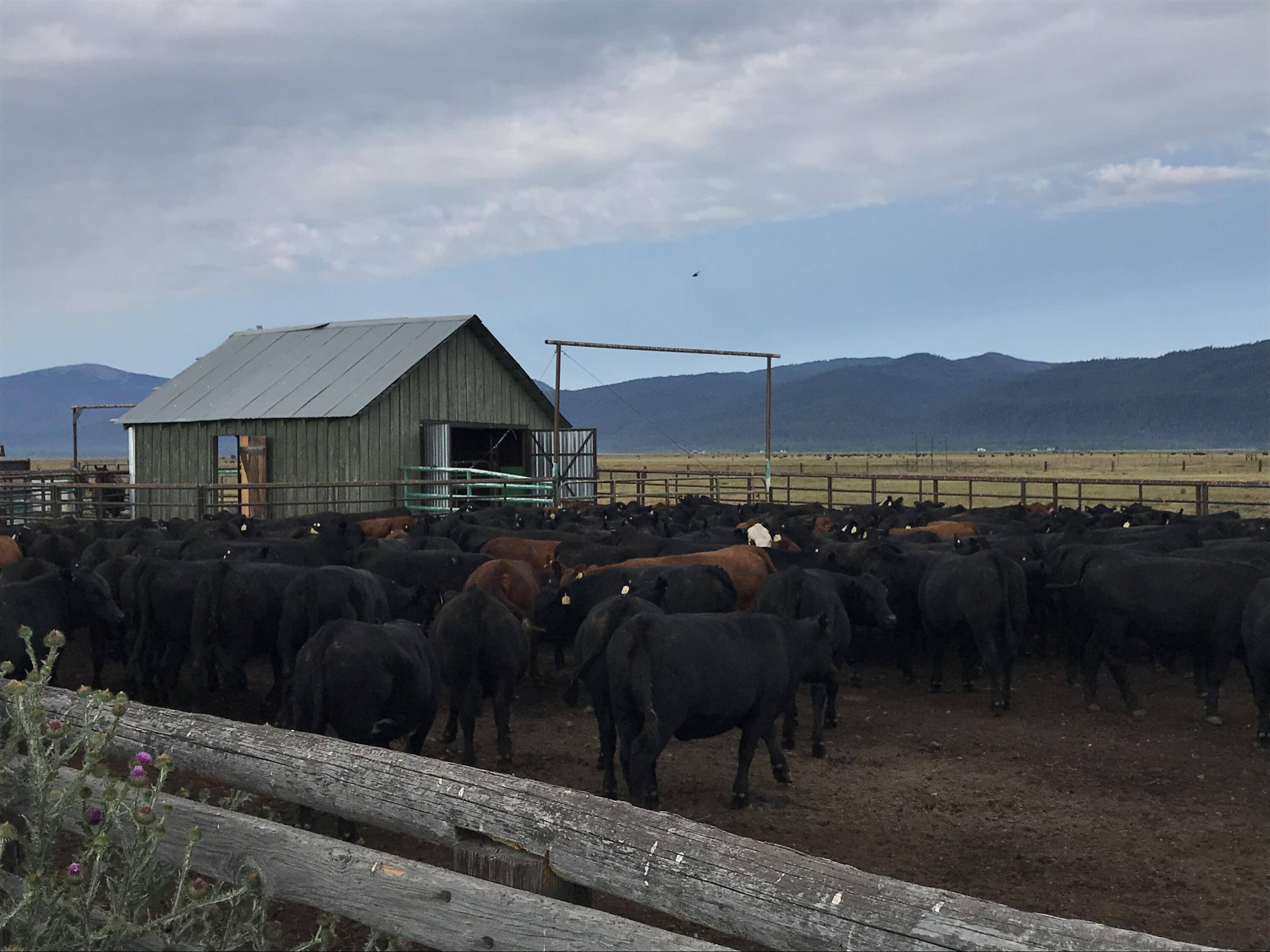 Fort Klamath, OR 97626,9800 Seven Mile RD