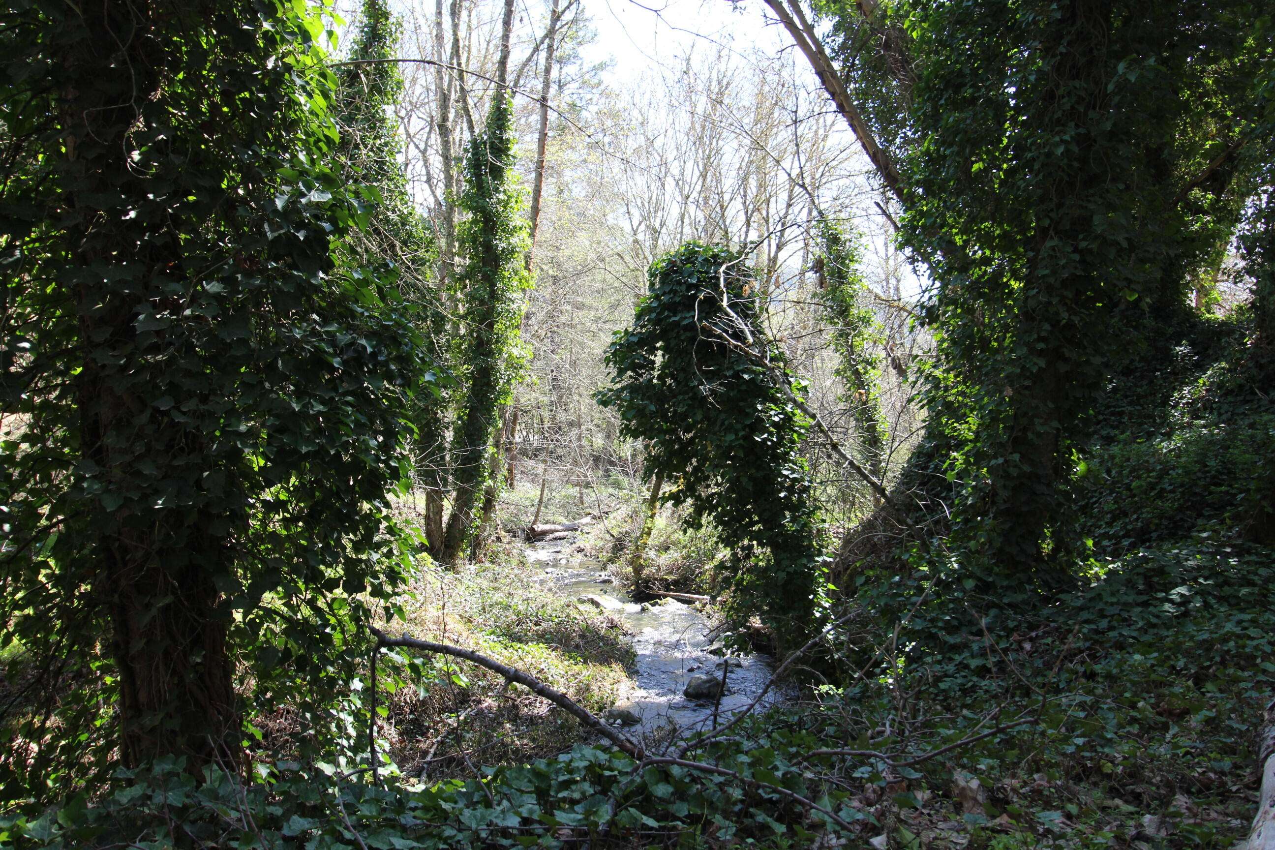 Applegate, OR 97530,2319 Humbug Creek RD