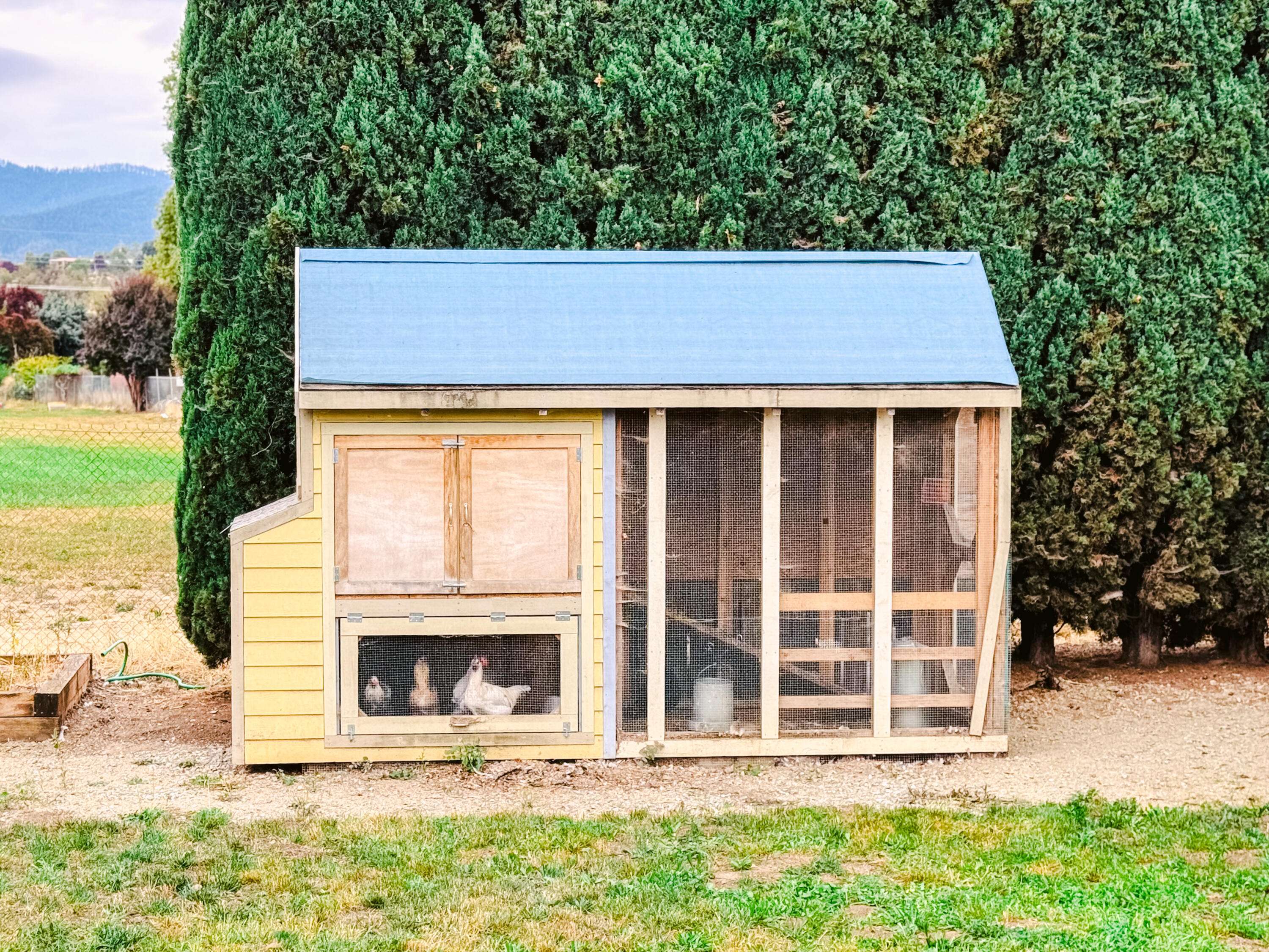 Medford, OR 97501,2091 Alamar ST