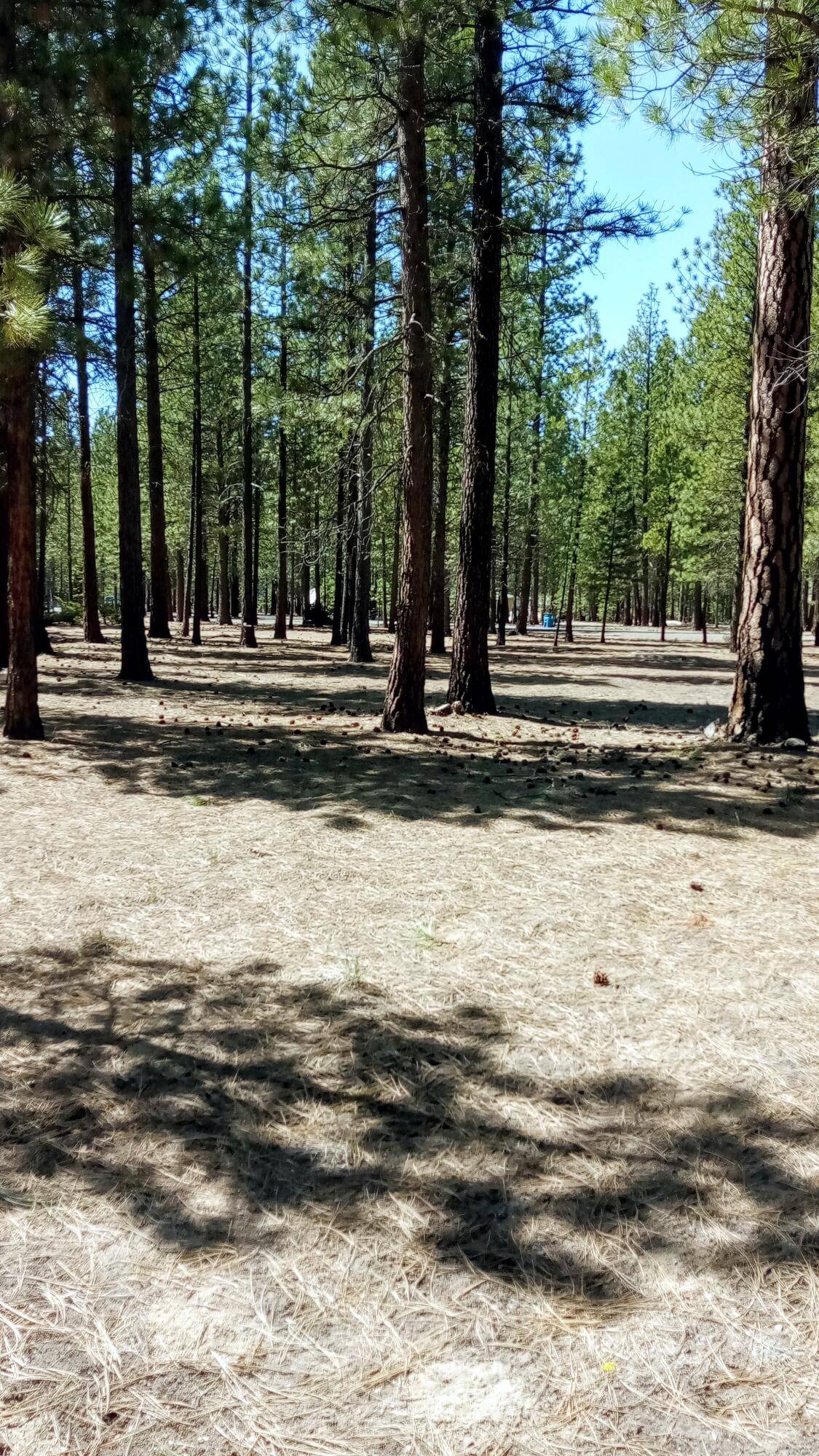 La Pine, OR 97739,52170 Ponderosa WAY