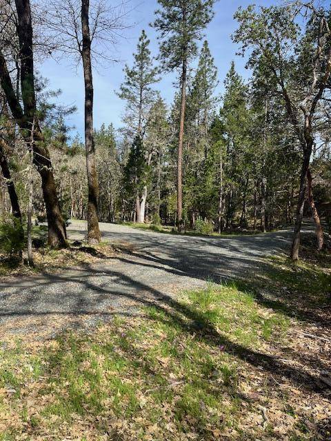 Williams, OR 97544,255 Pine Tree DR