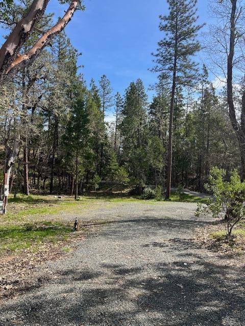 Williams, OR 97544,255 Pine Tree DR