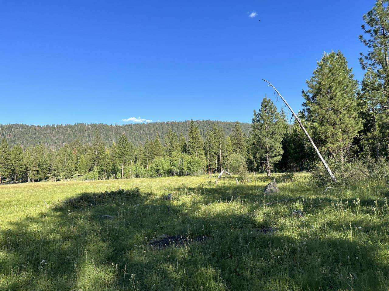 Chiloquin, OR 97624,NKA BLM road 5817