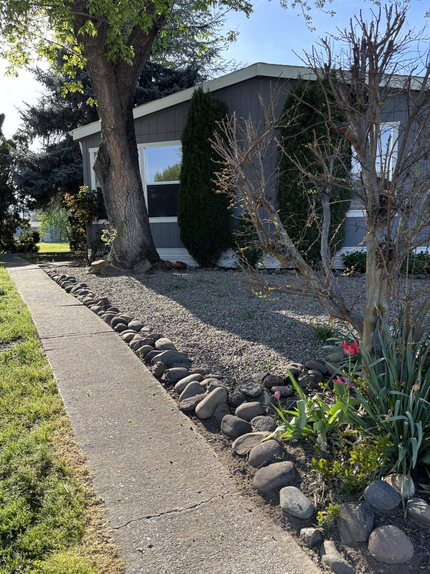 Medford, OR 97501,881 Mindy Sue