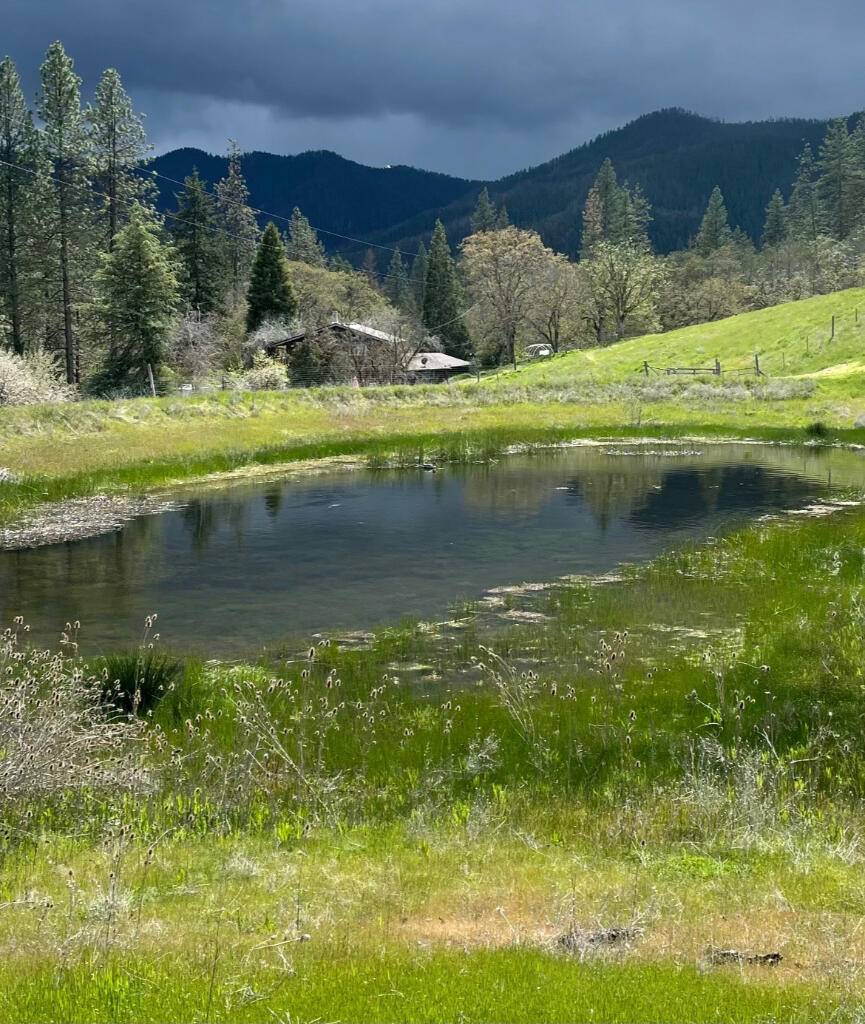 Jacksonville, OR 97530,10250 Sterling Creek RD