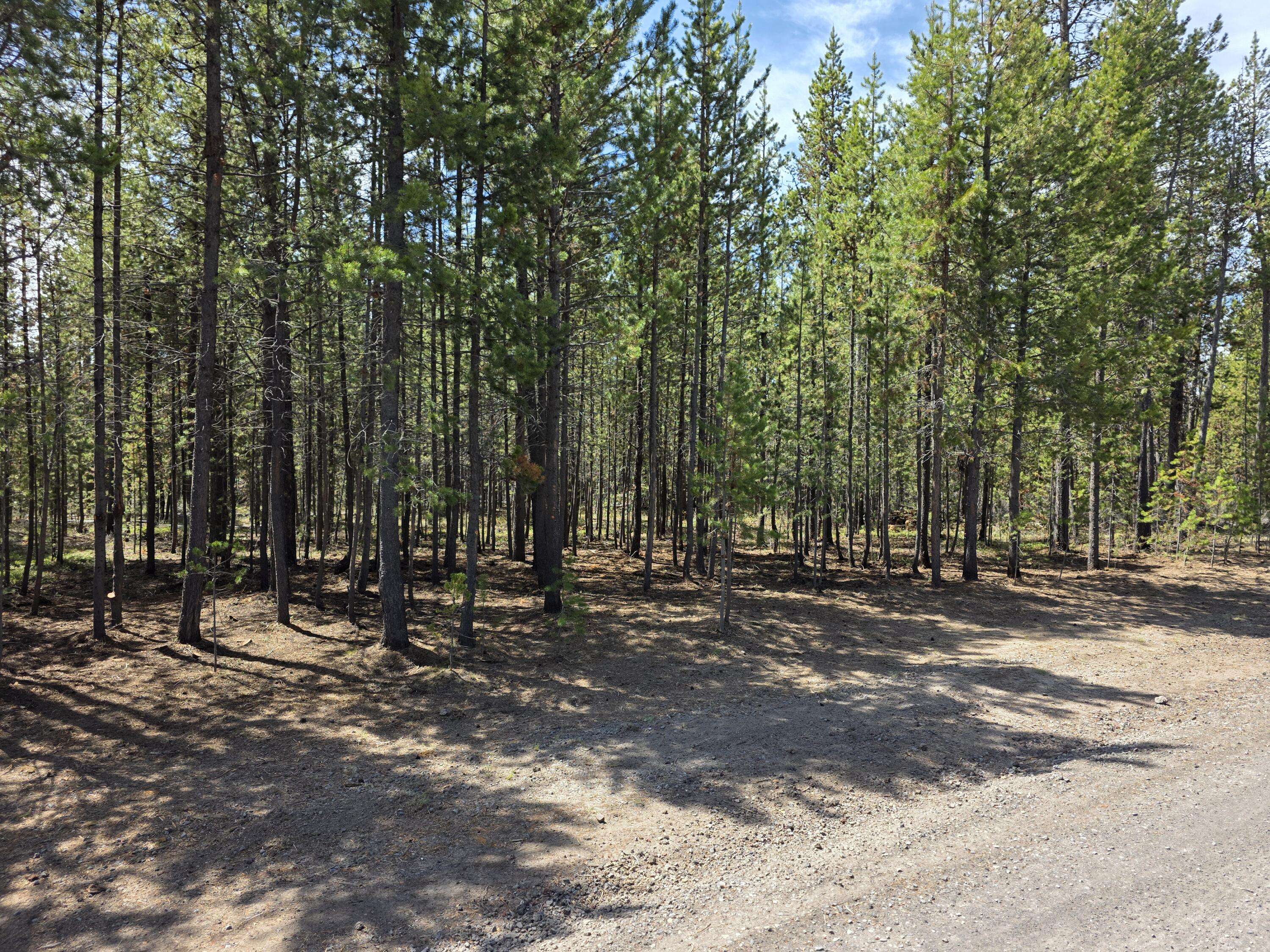 Bend, OR 97707,17109 Elsinore RD
