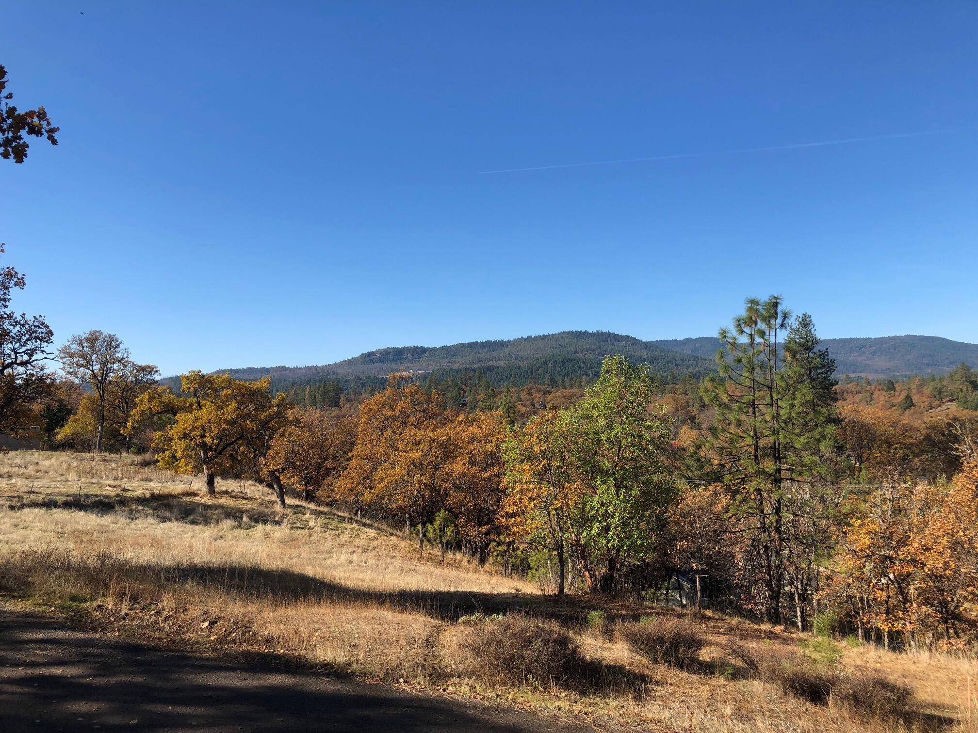 Shady Cove, OR 97539,176 Cindy WAY