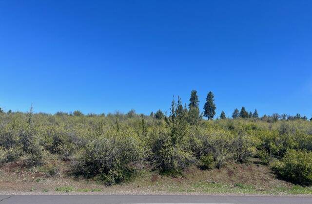 Klamath Falls, OR 97601,Crossbill DR #Lot 1052