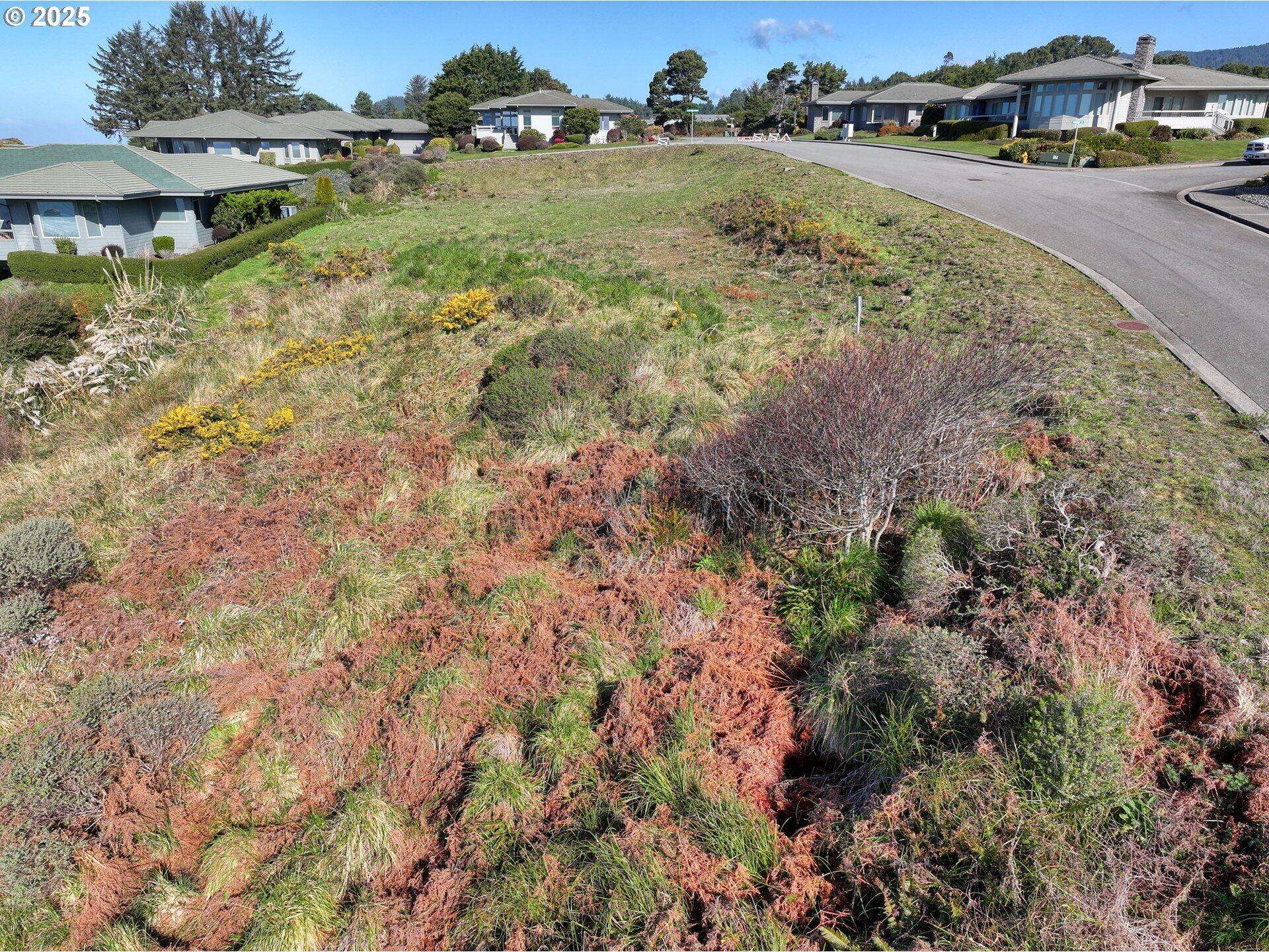 Brookings, OR 97415,17116 Pacific Heights ST