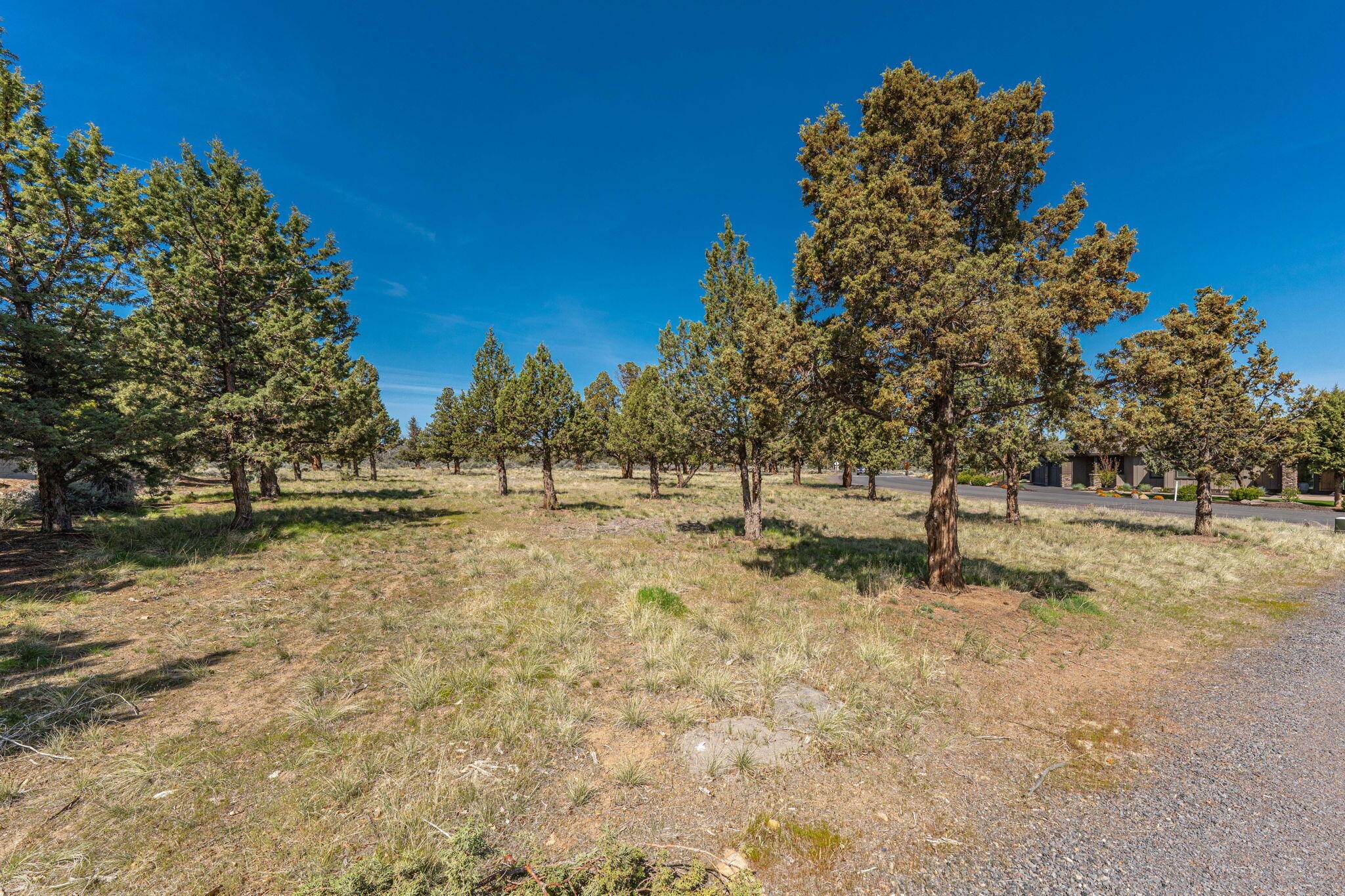 Redmond, OR 97756,615 Solitaire CT