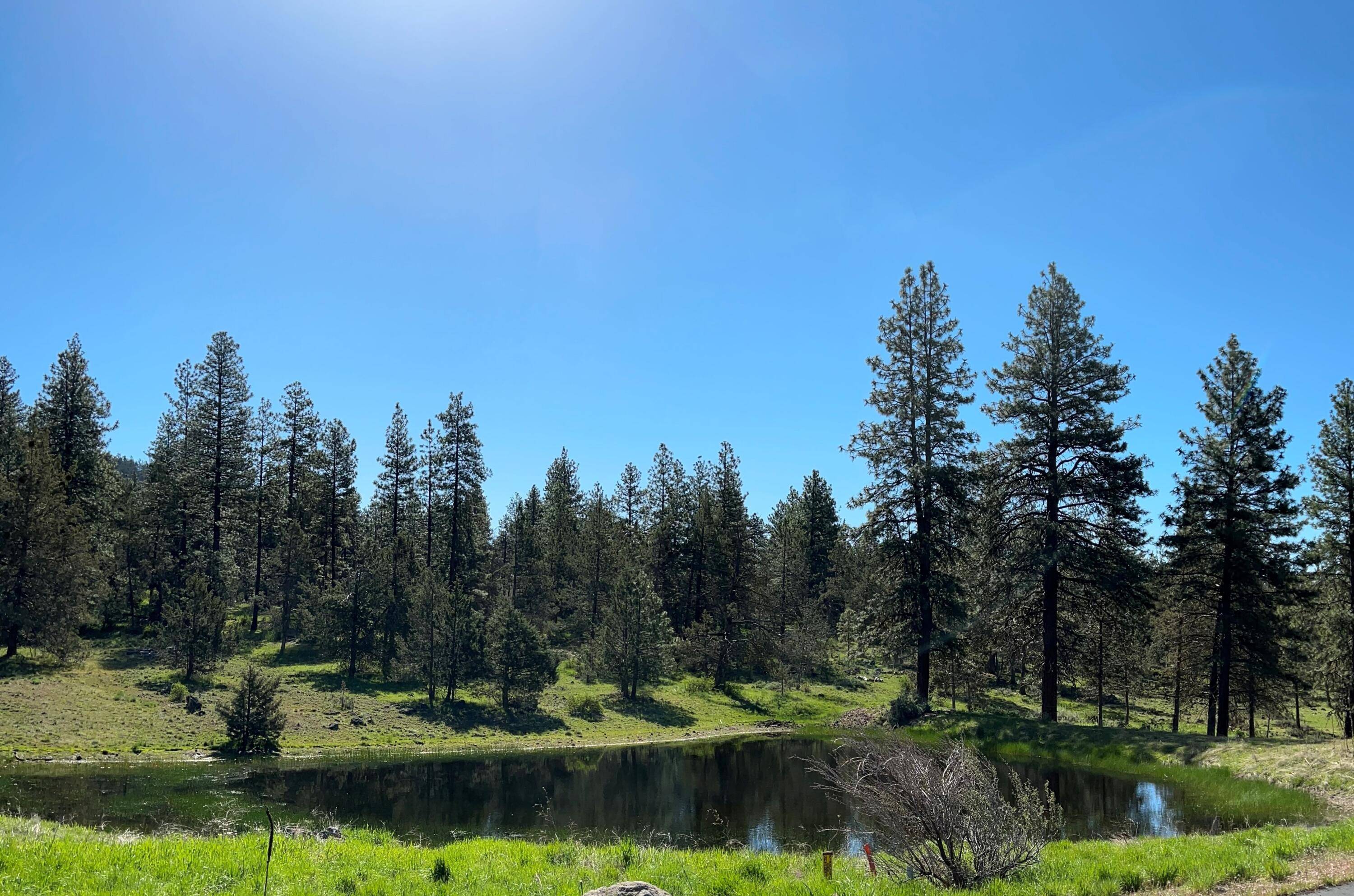 Klamath Falls, OR 97601,1077 Timber Ridge #31