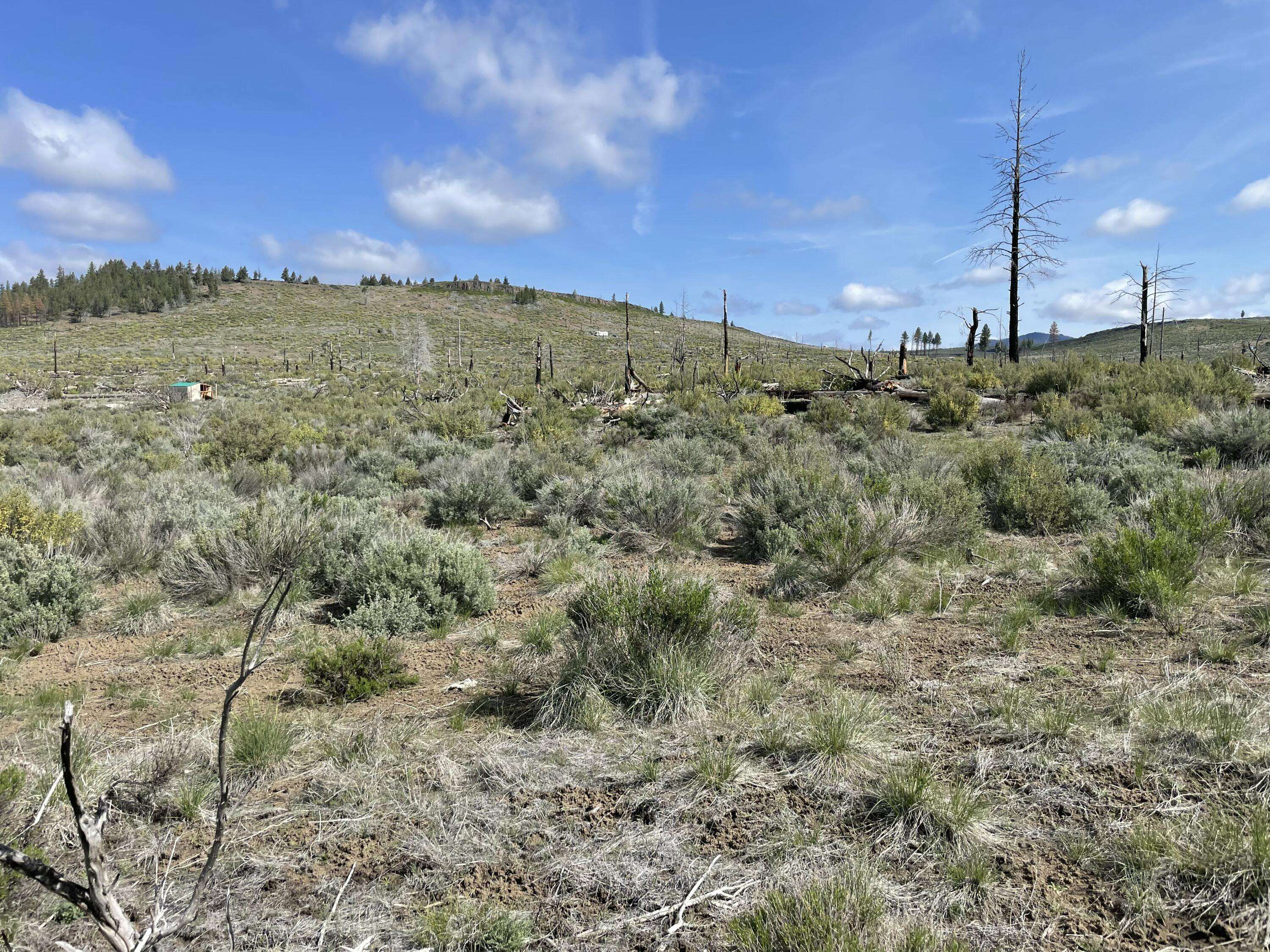 Chiloquin, OR 97624,Steelhead LN #Lot 36