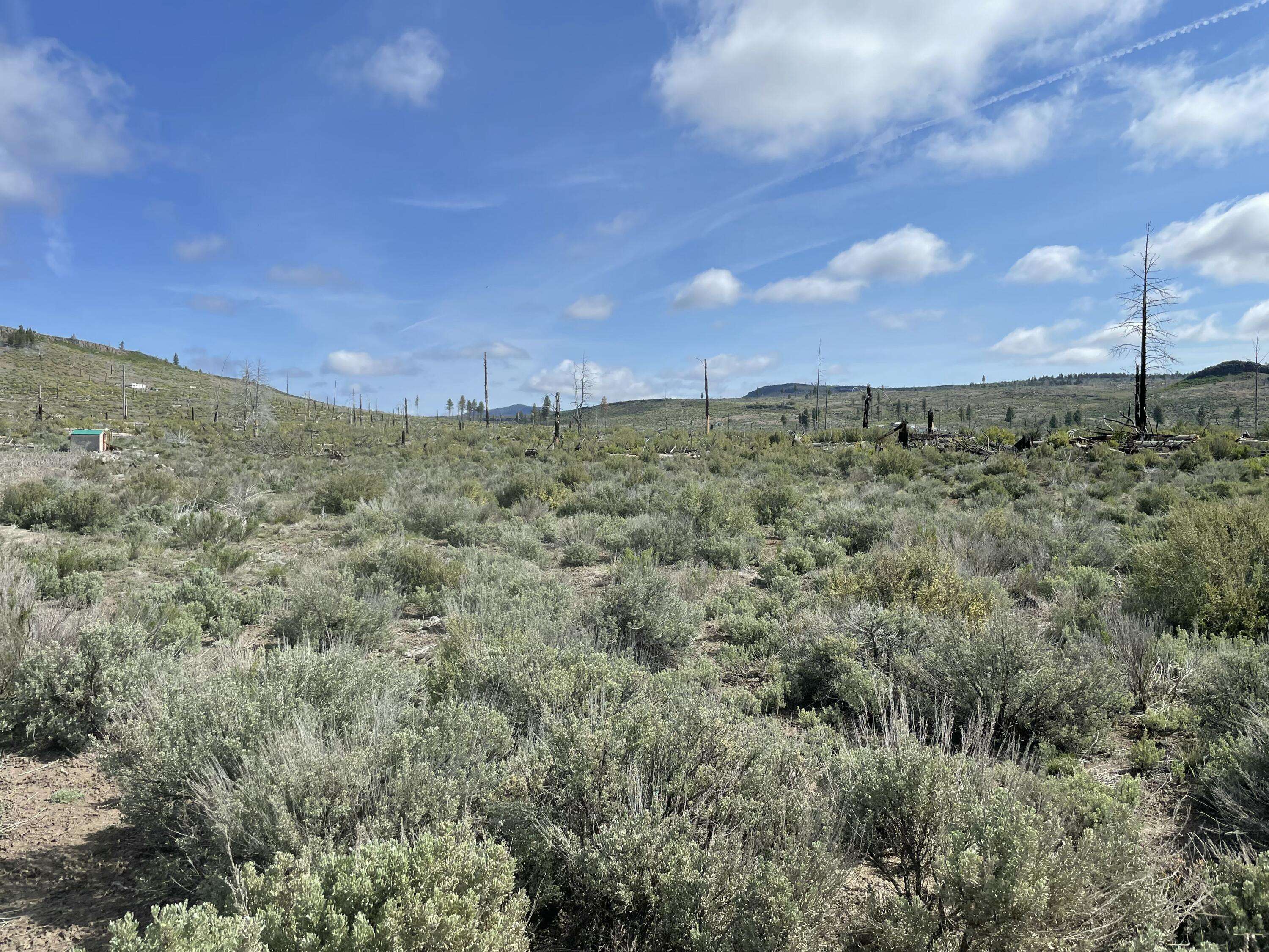 Chiloquin, OR 97624,Steelhead LN #Lot 36