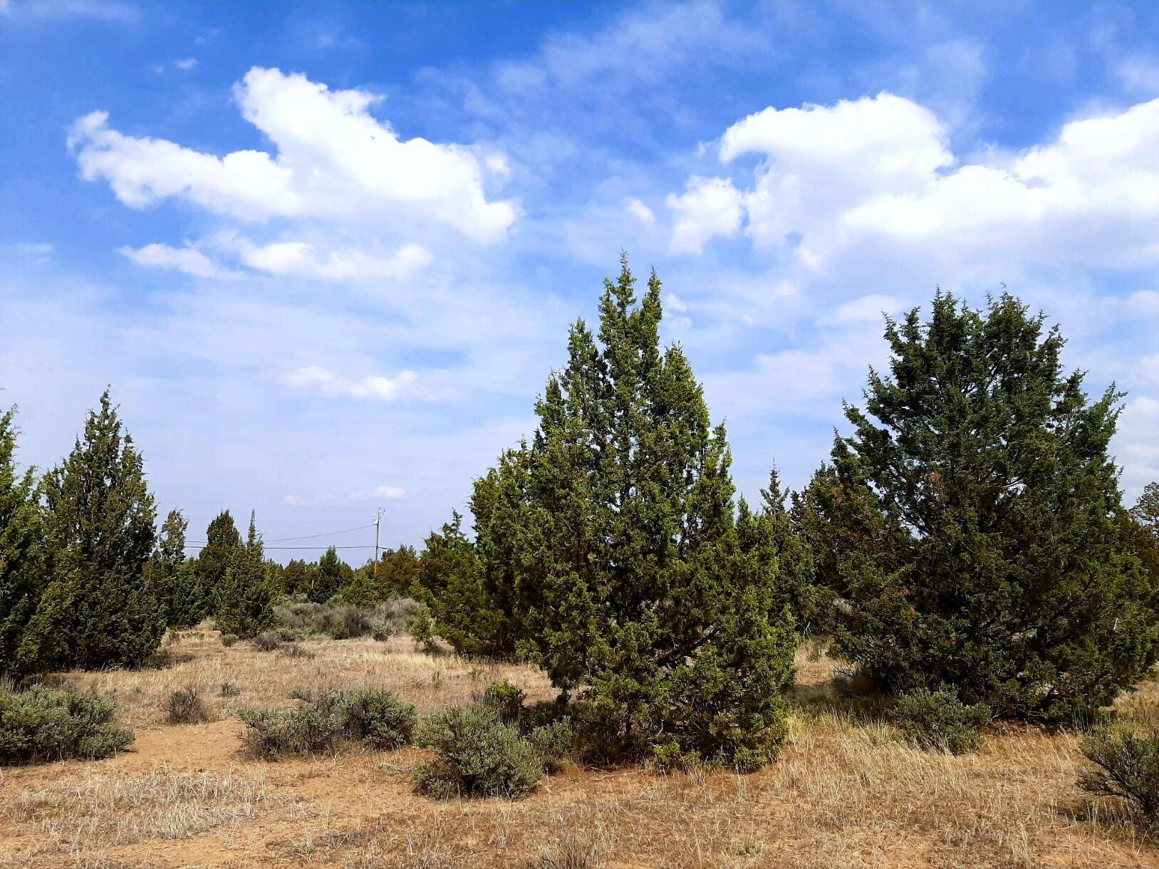 Prineville, OR 97754,Tillamook LOOP