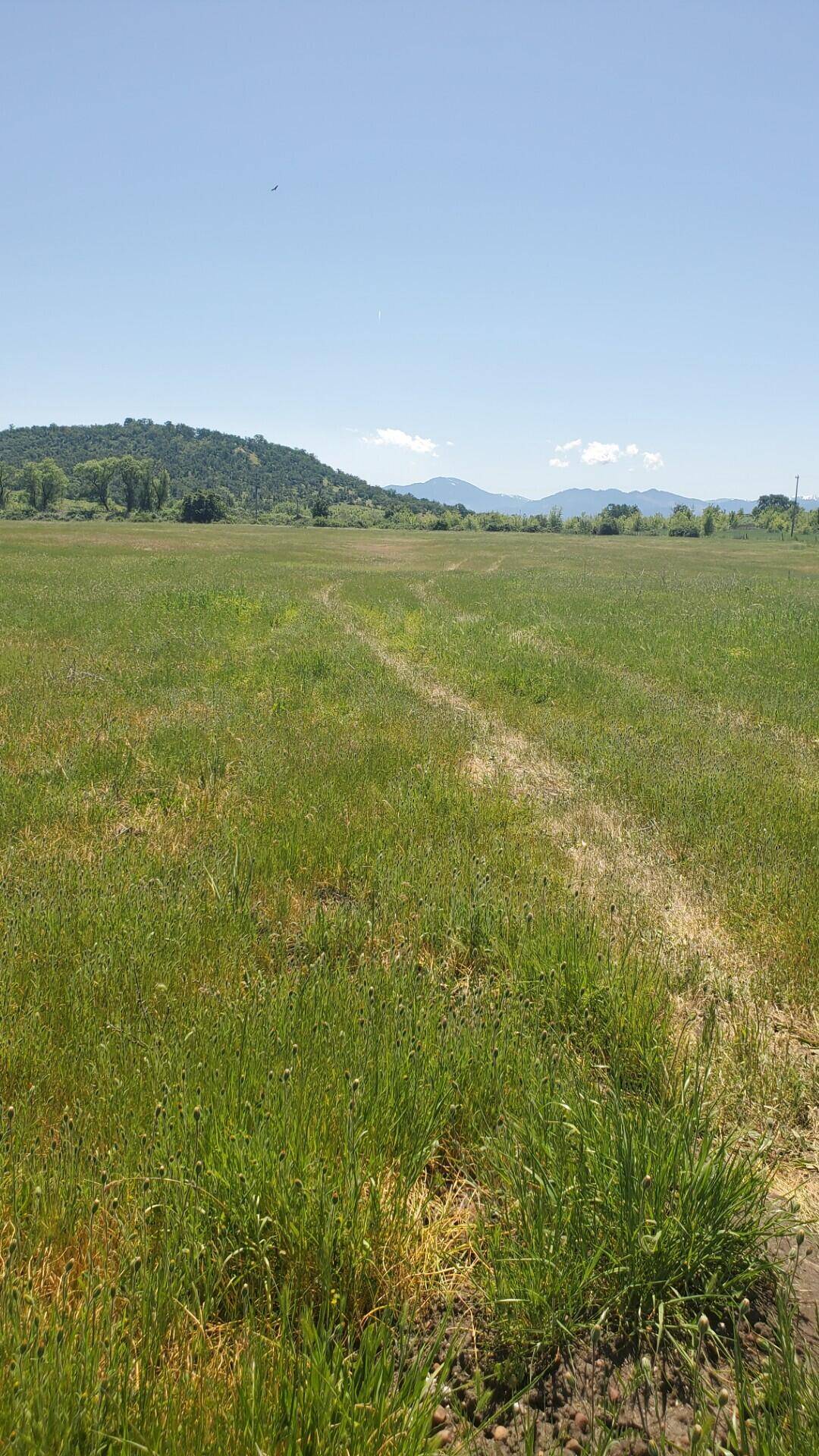 Medford, OR 97502,1816 Vilas RD