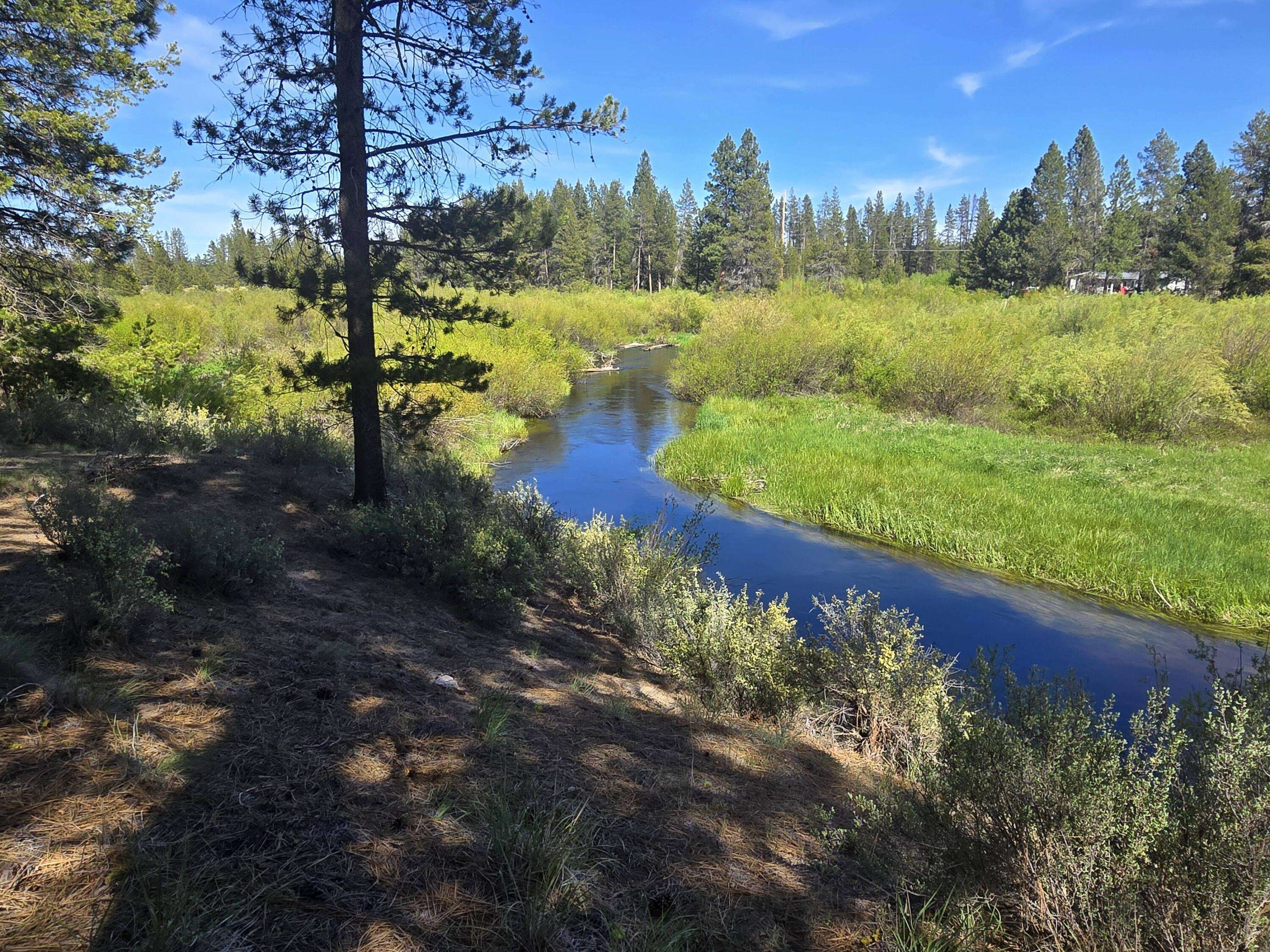 Gilchrist, OR 97737,Kokanee