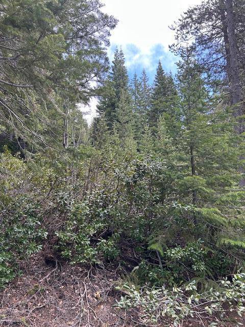 Crescent Lake, OR 97733,5 Royce Pine RD