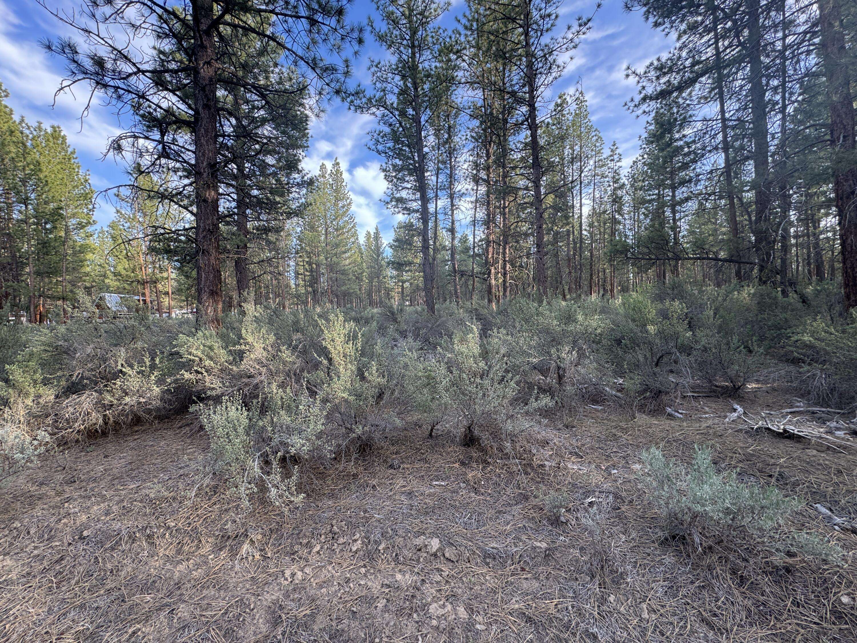 Sprague River, OR 97639,Silver Fox LN #Lot 13