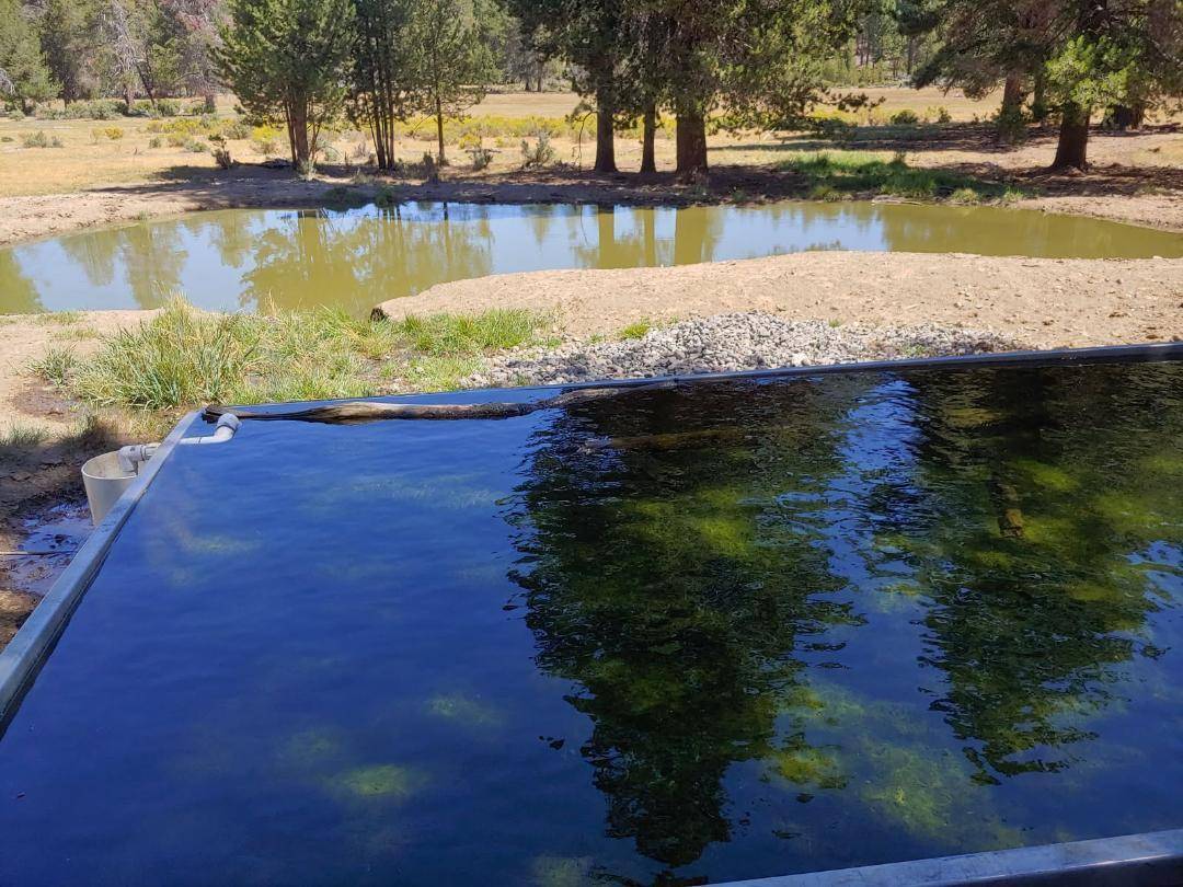 Chiloquin, OR 97624,00000 Williamson River RD #206208