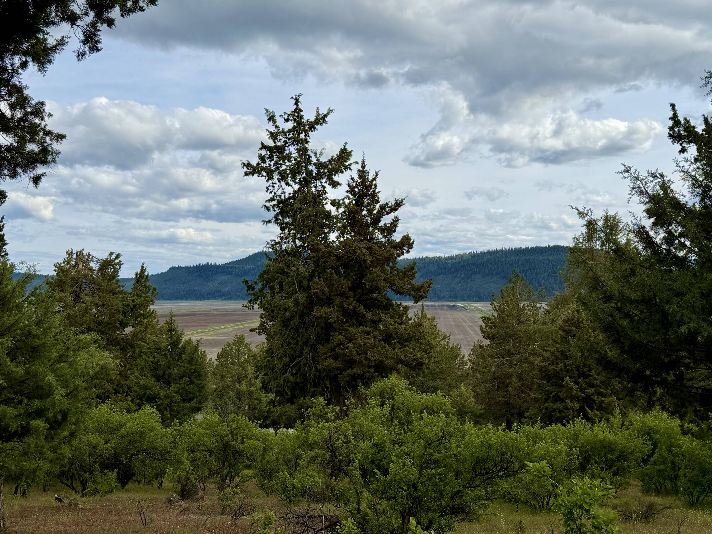 Klamath Falls, OR 97601,Turnstone DR #Lot 1064