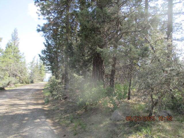 Bonanza, OR 97623,Golden Eagle DR #5