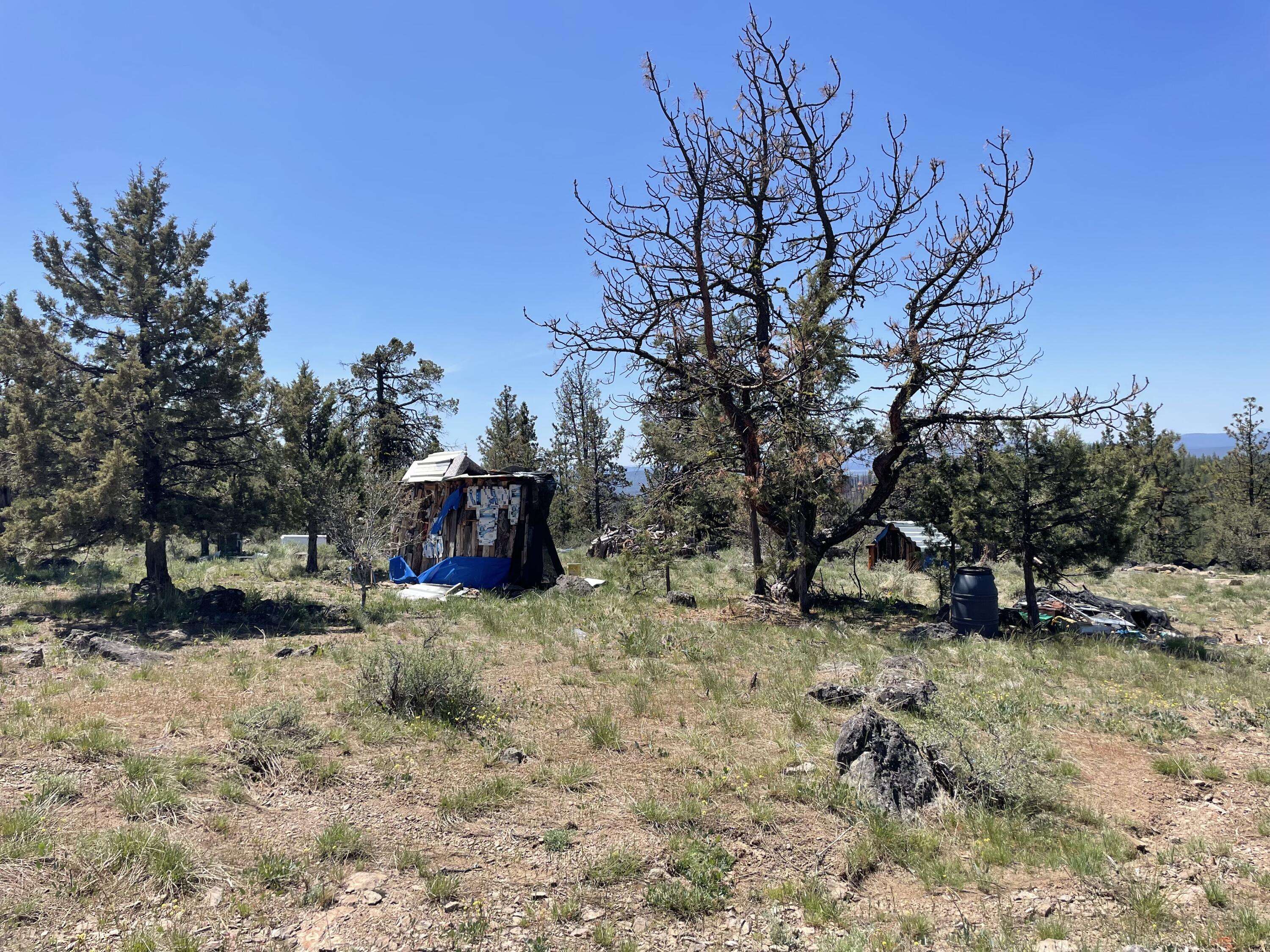 Bonanza, OR 97623,Beaver LN #37