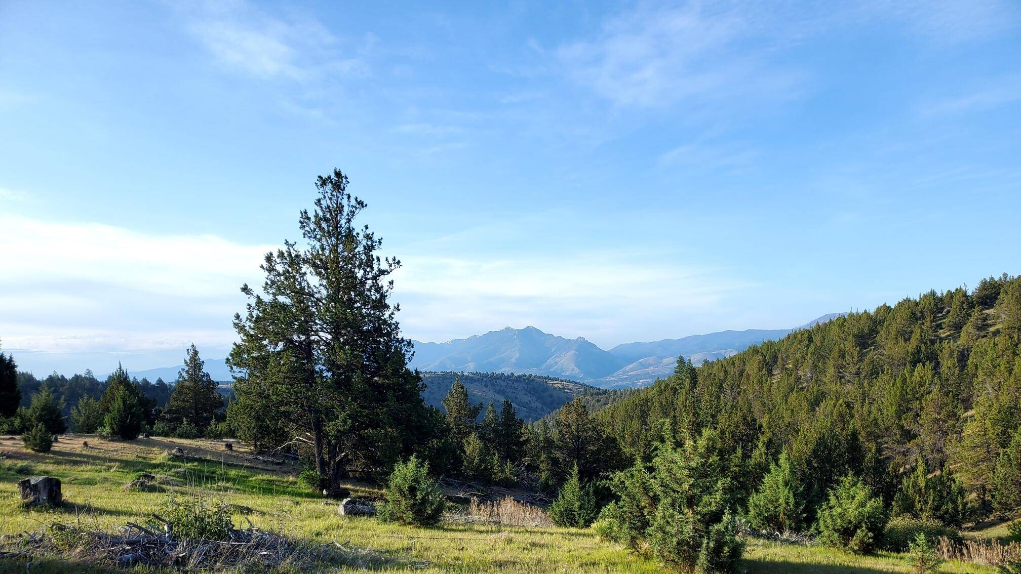 Dayville, OR 97825,WILEY CREEK ROAD RD #2406