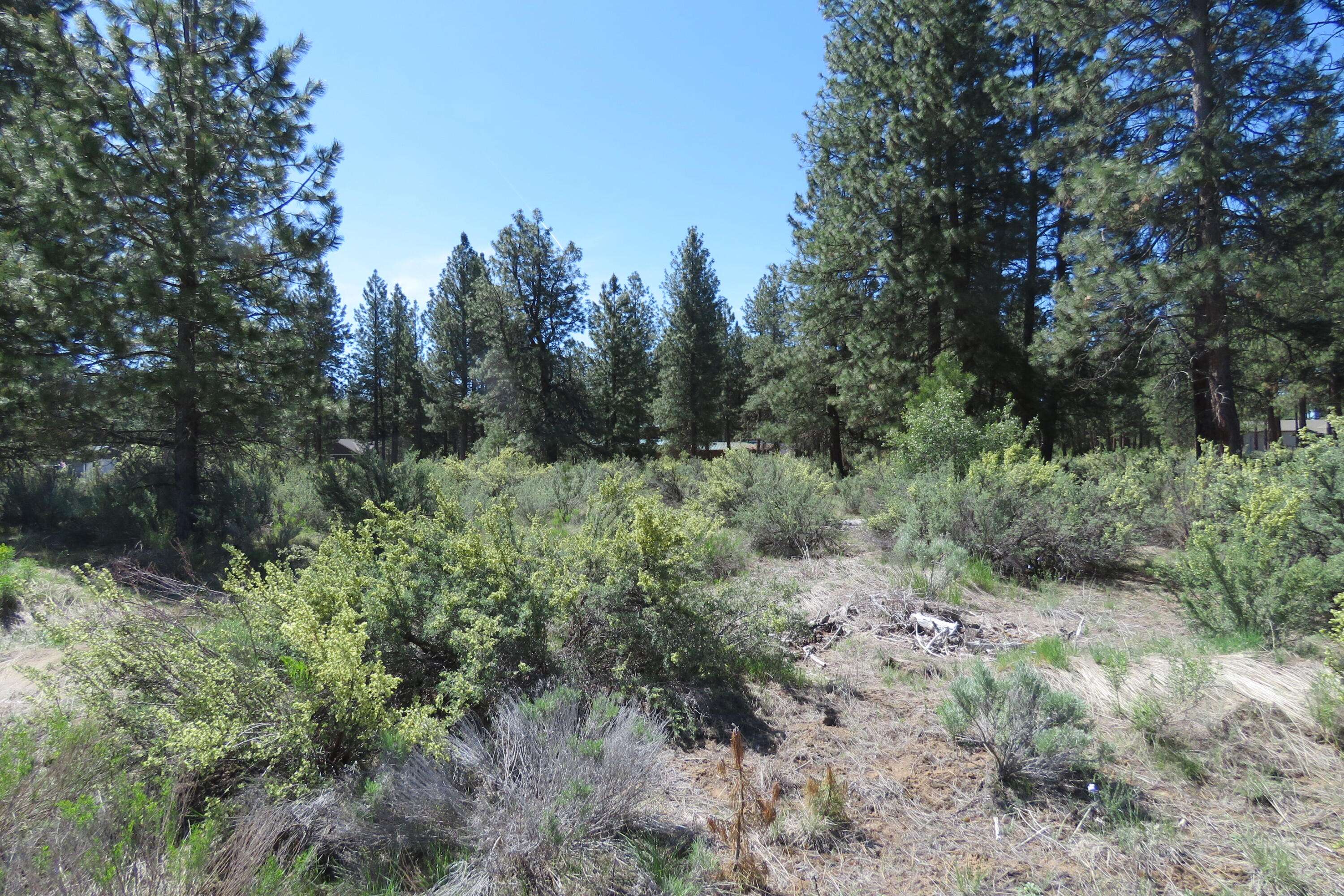 Chiloquin, OR 97624,Castle Dr Lot 10