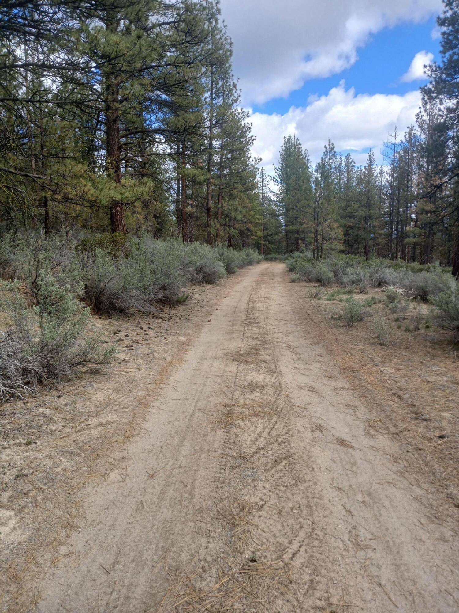 Beatty, OR 97621,Cathy WAY #Lots 21,22,&23