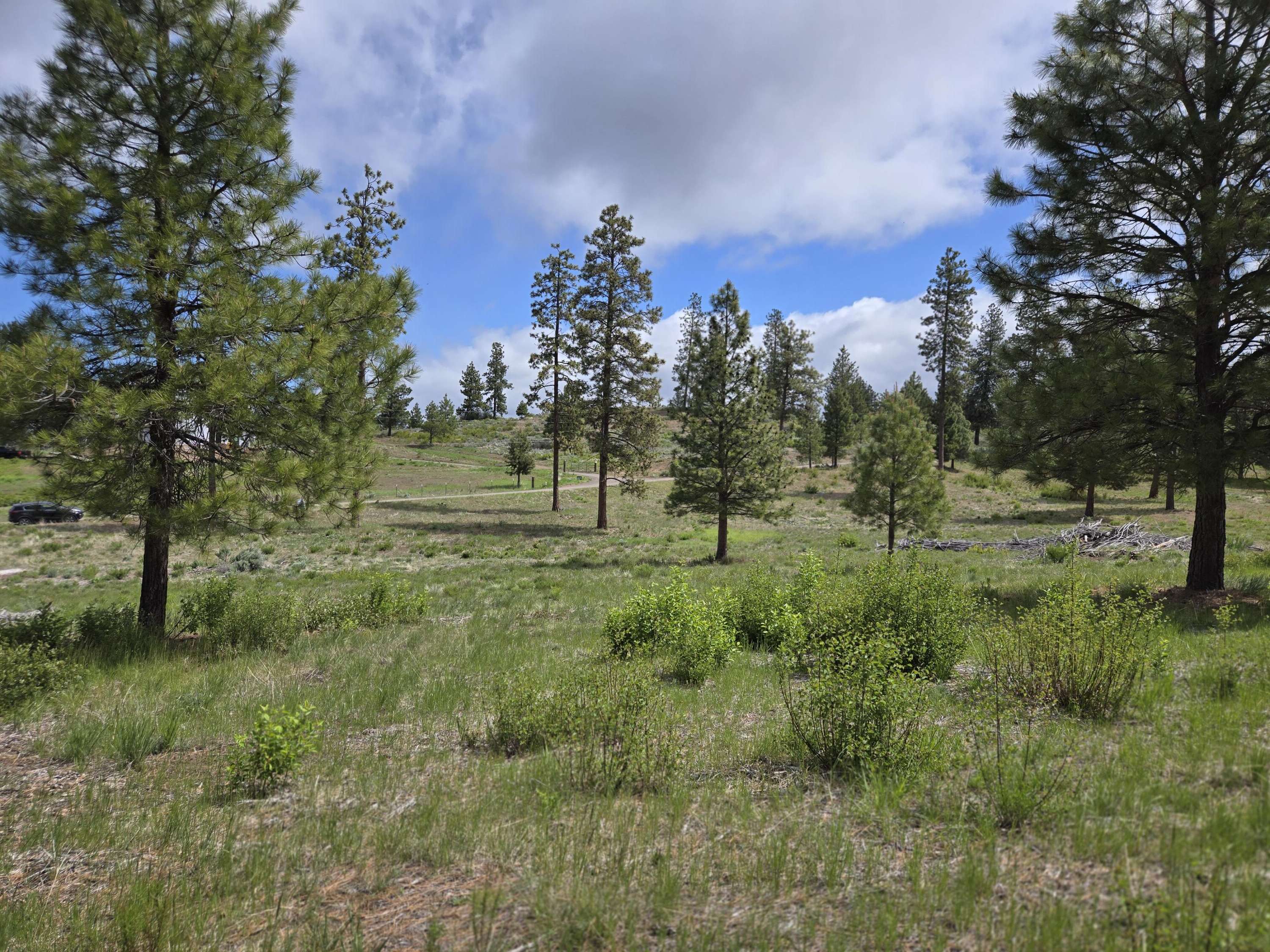 Chiloquin, OR 97624,Ranch RD #Lot 17