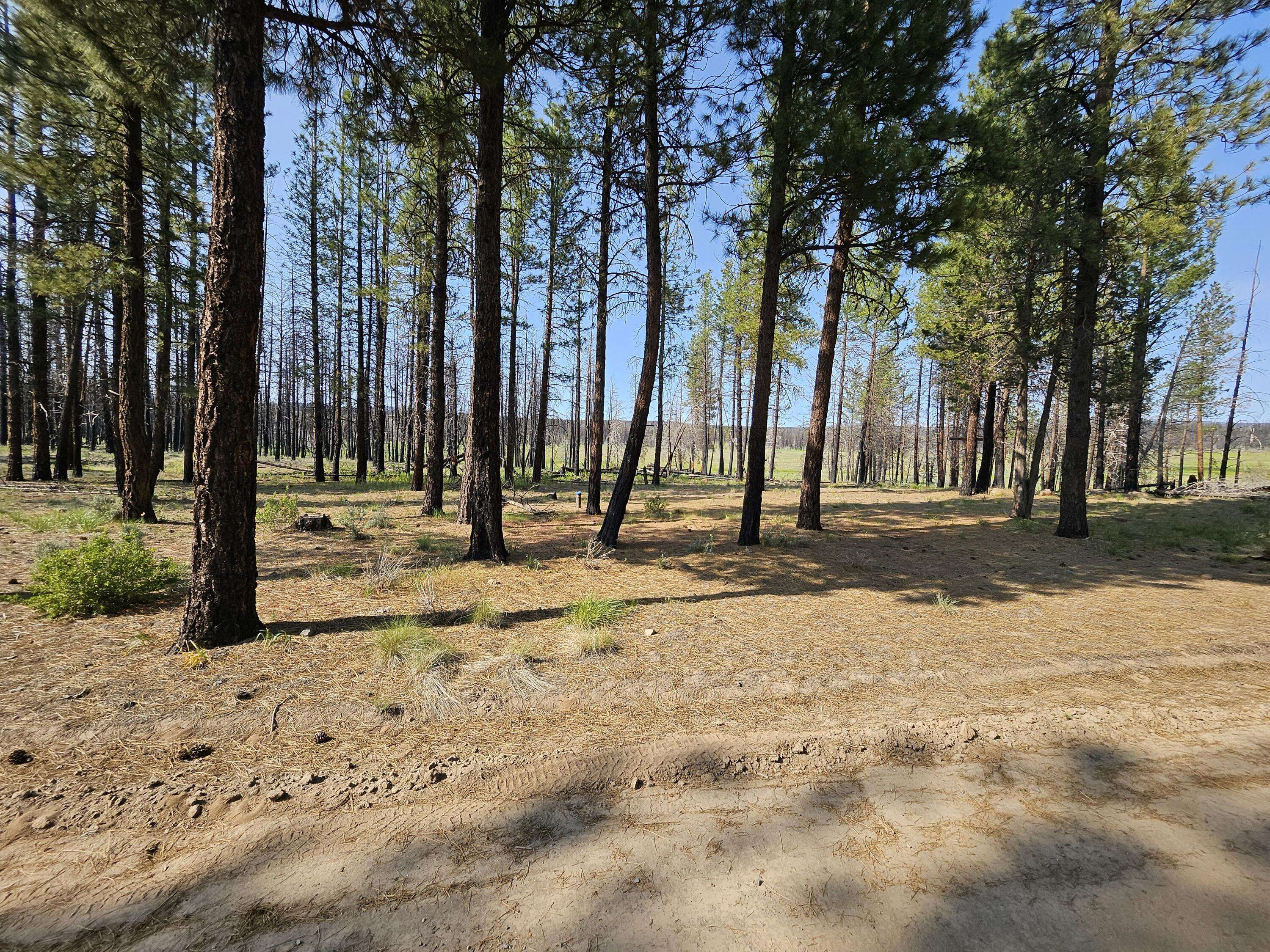 Bly, OR 97622,Parazoo TRL #Lot 2 Block 8