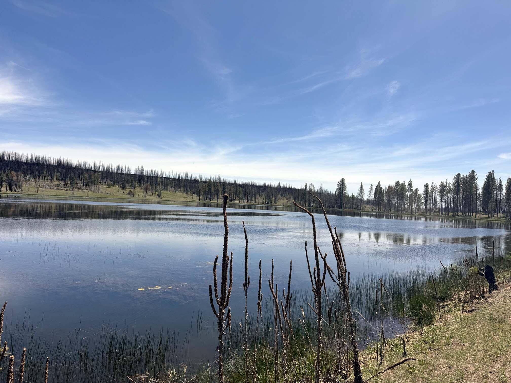 Bly, OR 97622,Off Hicks Road #Lot 3