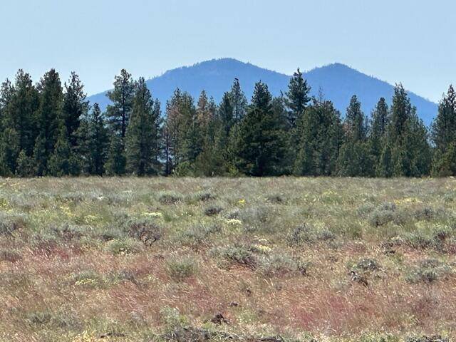 Sprague River, OR 97639,Rim Drive