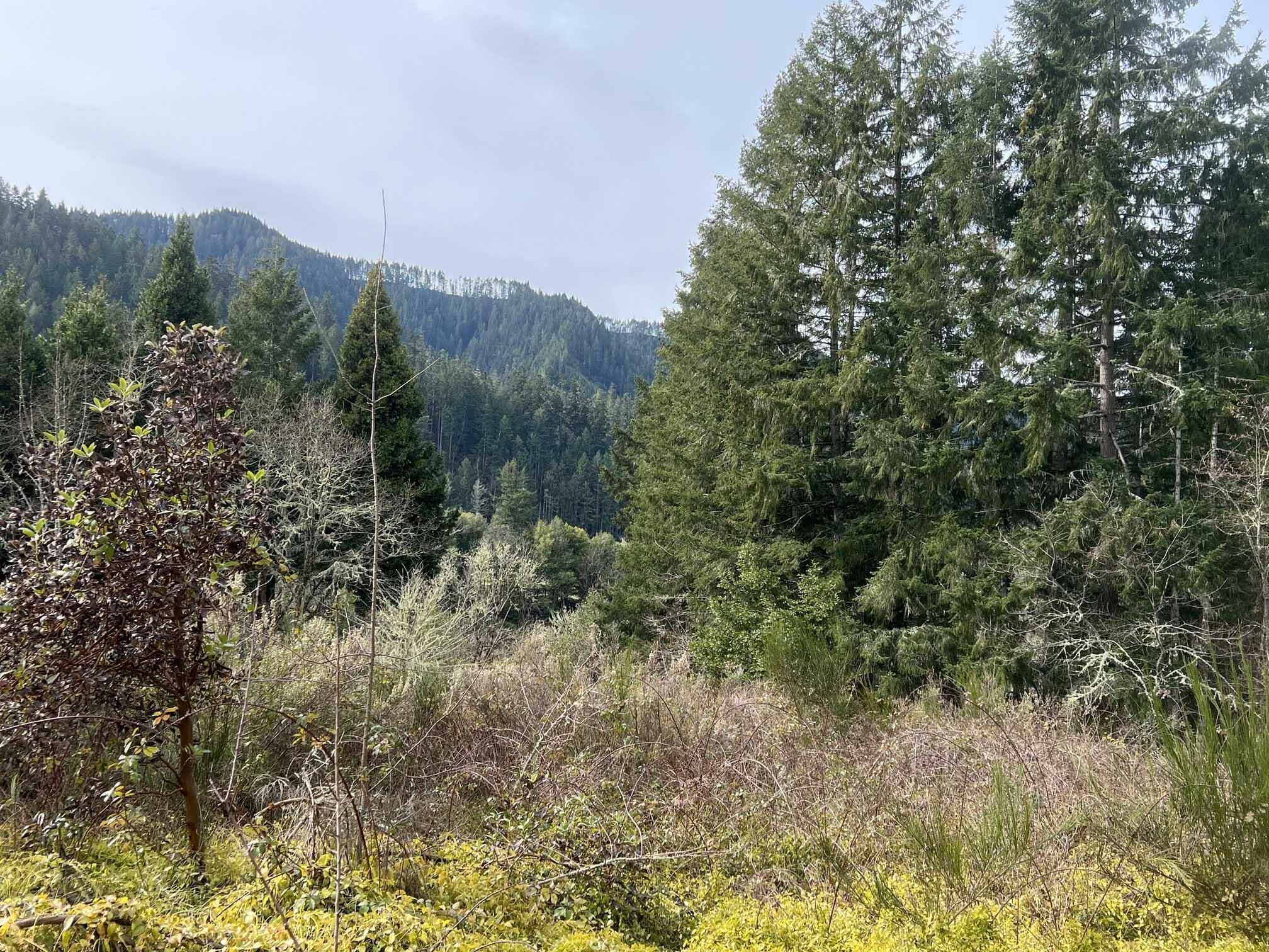 Oakland, OR 97462,HWY 138 West