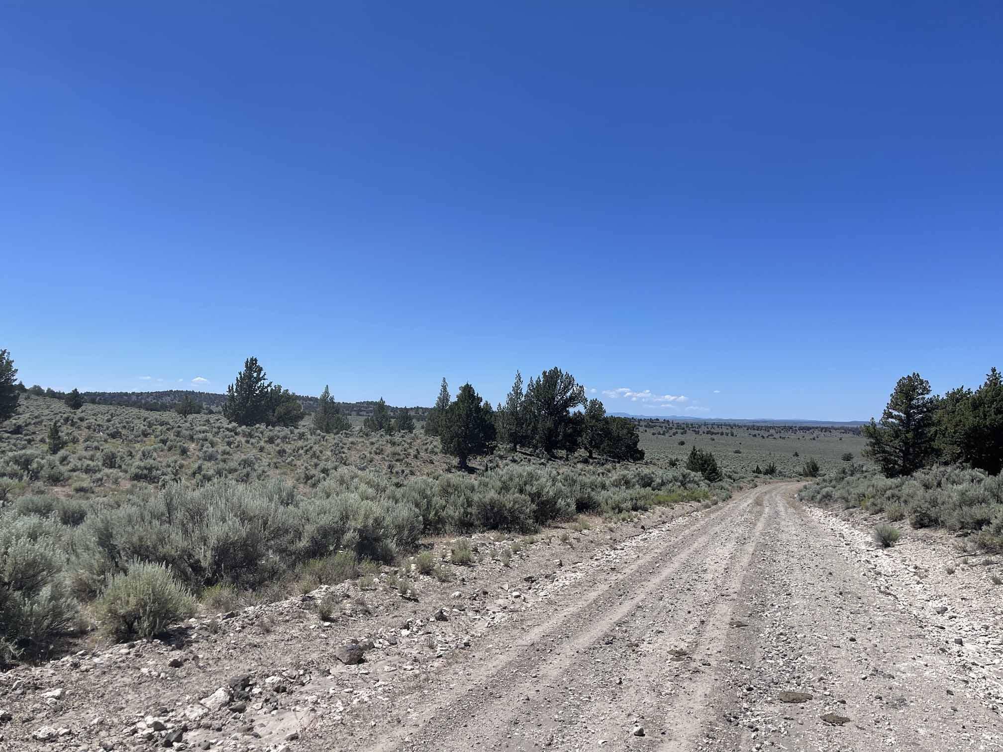 Christmas Valley, OR 97641,Benjamin Lake Road #L 502