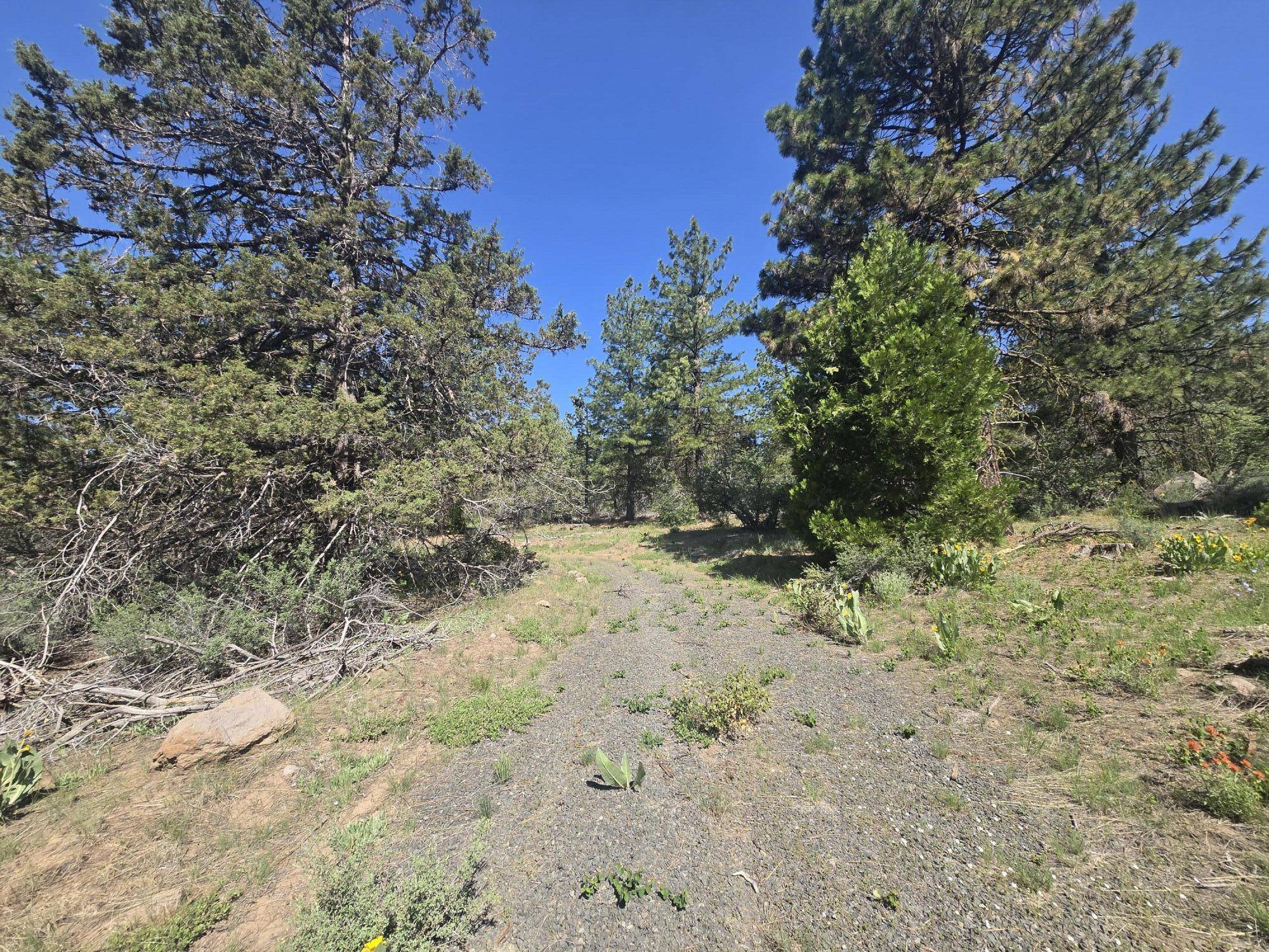 Bonanza, OR 97623,Meadow Lark DR #Lot 12