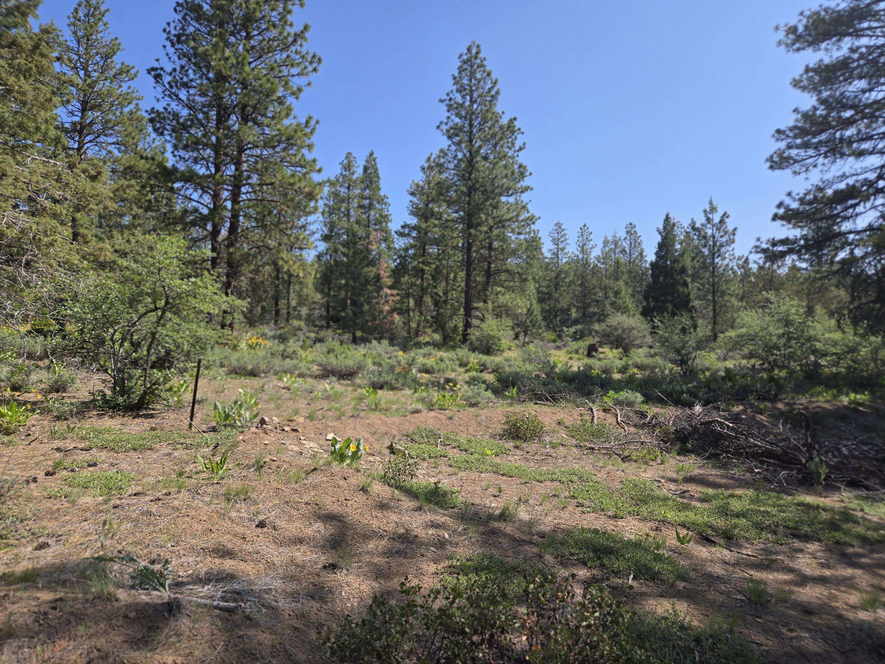 Bonanza, OR 97623,Meadow Lark DR #Lot 12