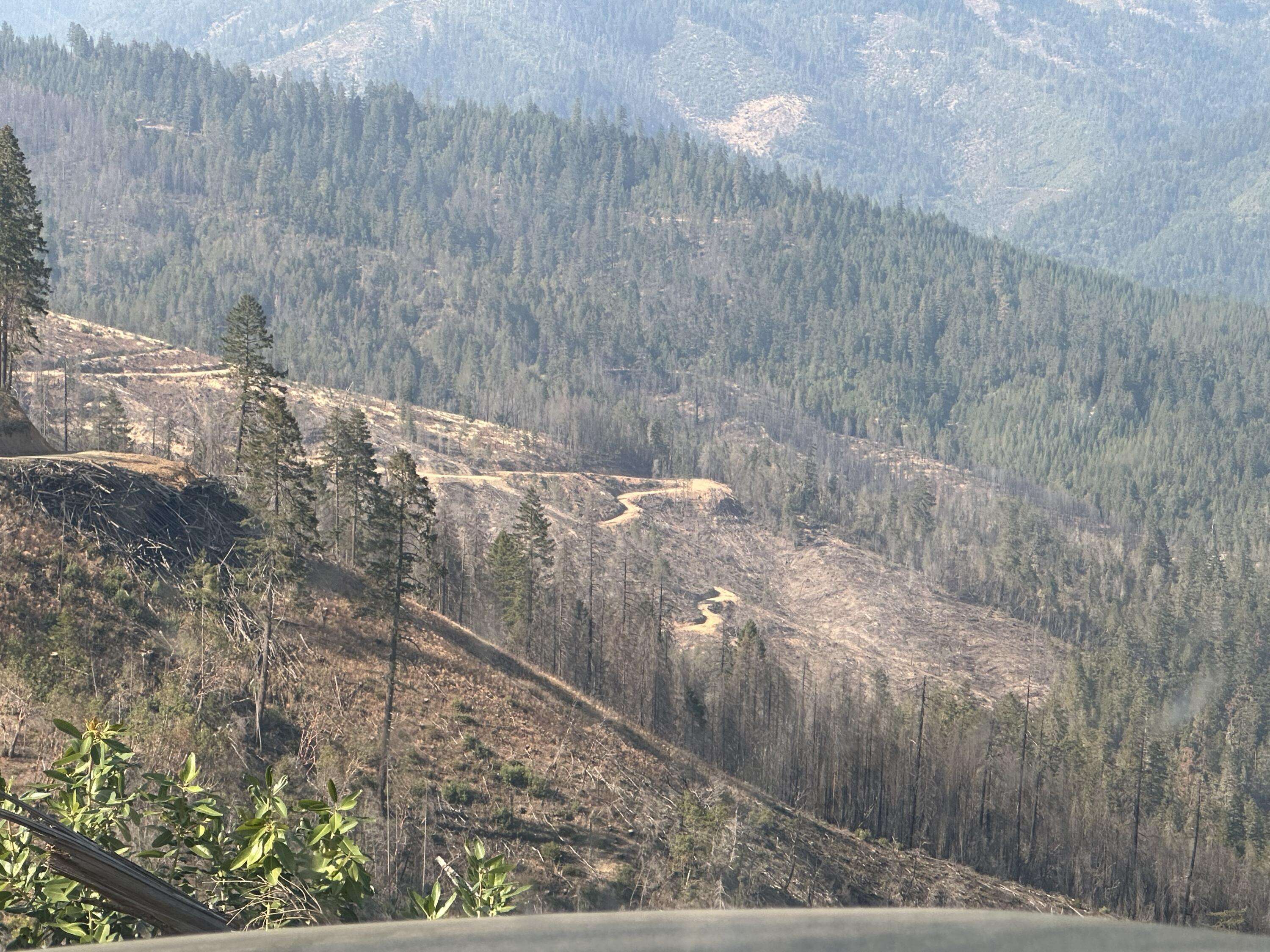 Wolf Creek, OR 97497,0 Graves Creek RD