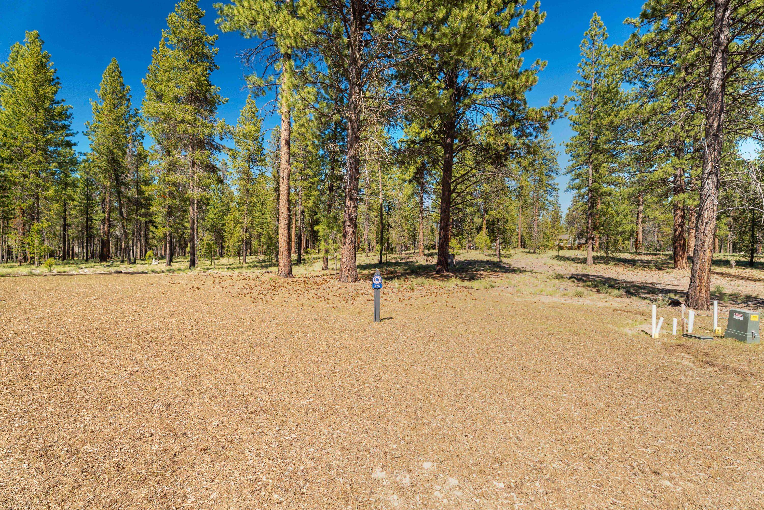 Bend, OR 97707,17723 Redtail LOOP #476