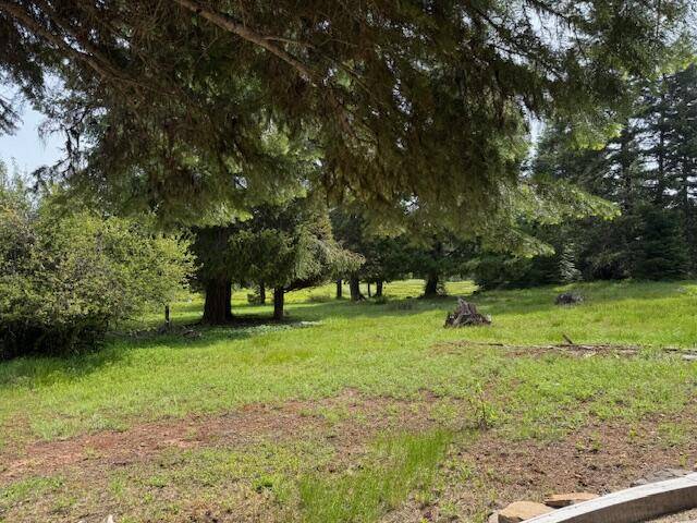 Ashland, OR 97520,20948 Dead Indian Memorial RD