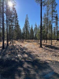 La Pine, OR 97739,10500 Pinewood PL #10500