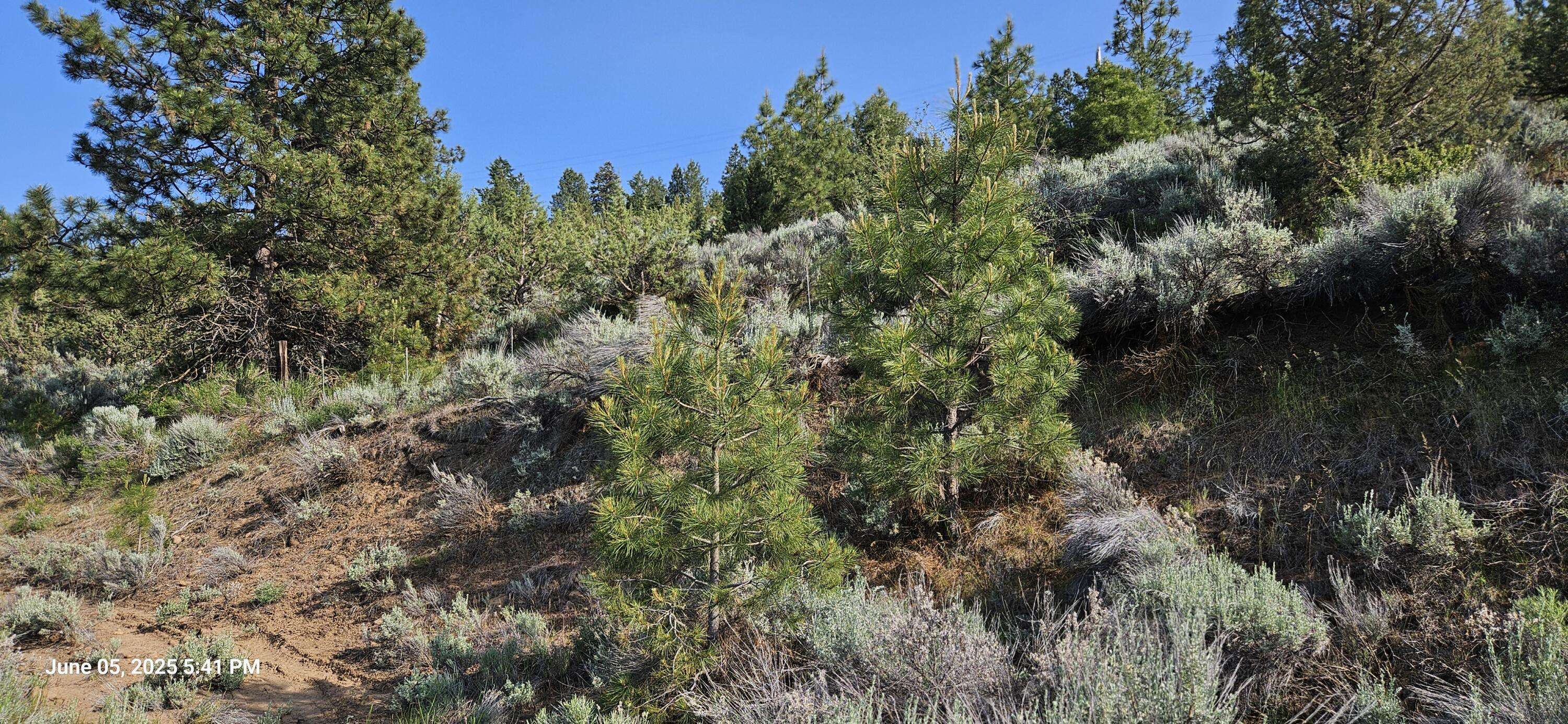Klamath Falls, OR 97601,0 Algoma RD #502