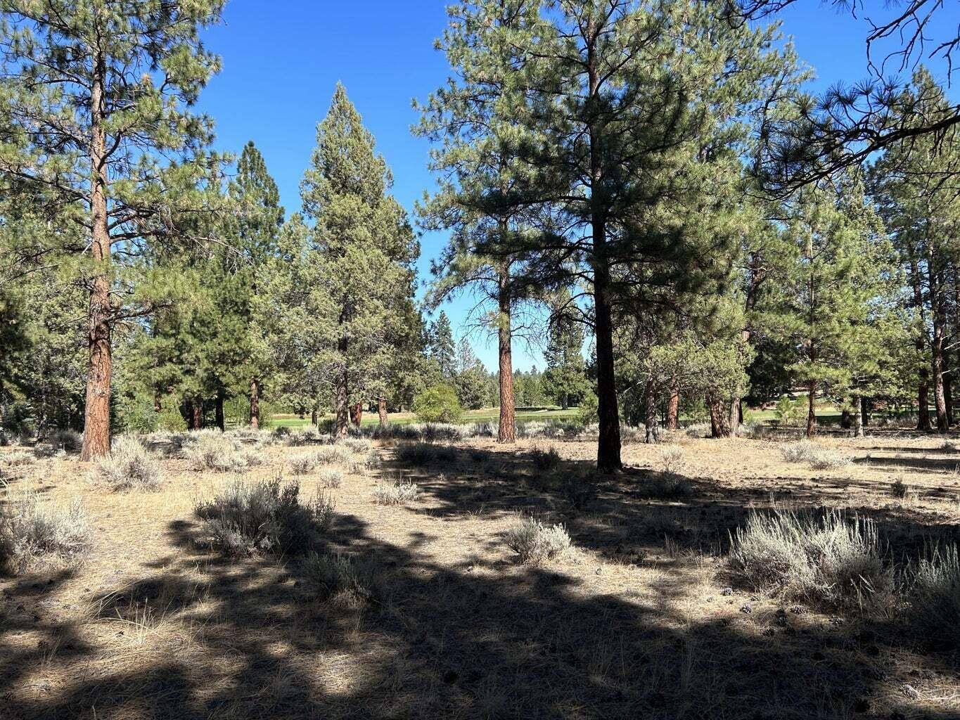 Sisters, OR 97759,17167 Caddis CT