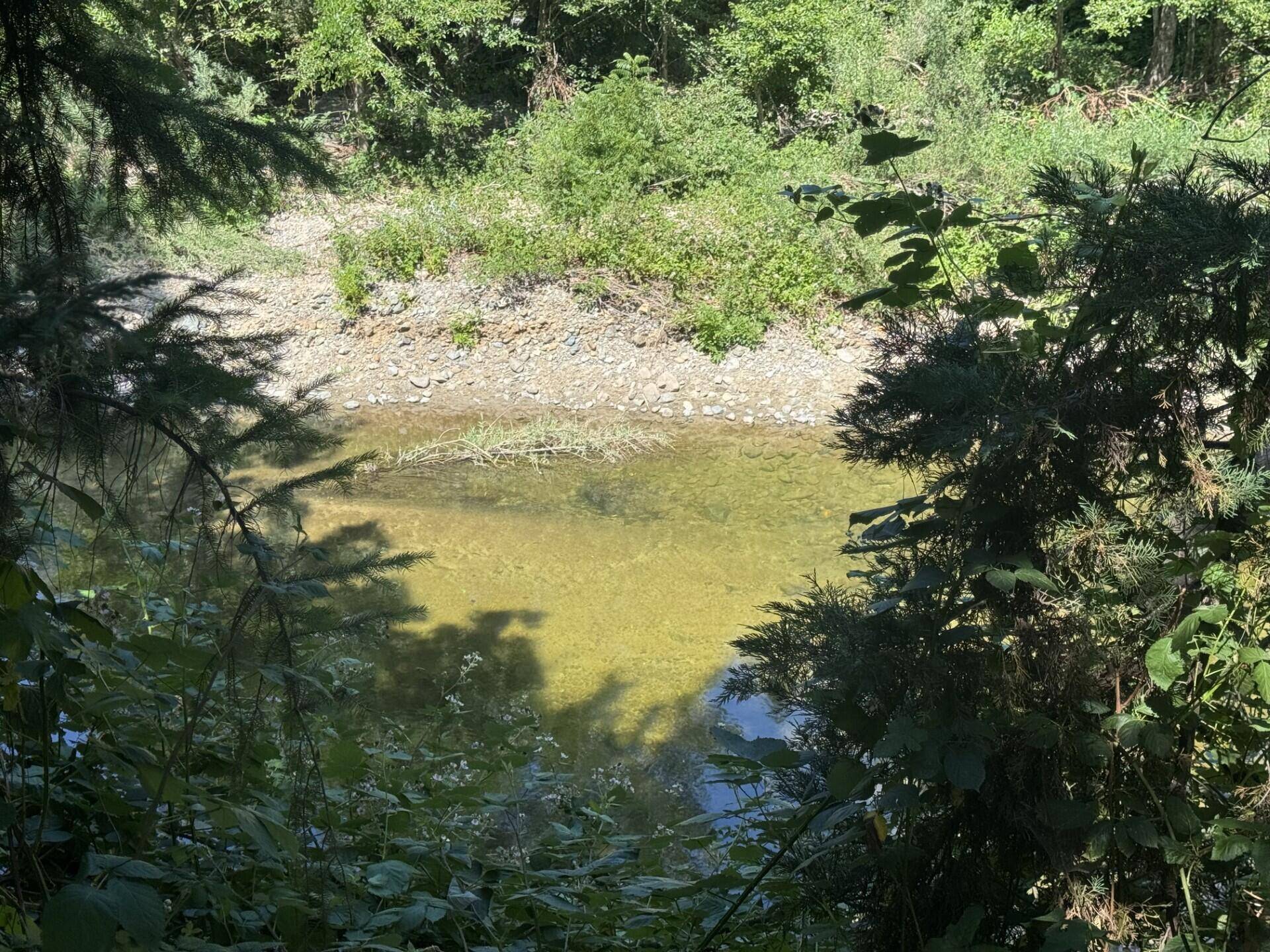 Rogue River, OR 97537,950 Evans Creek RD