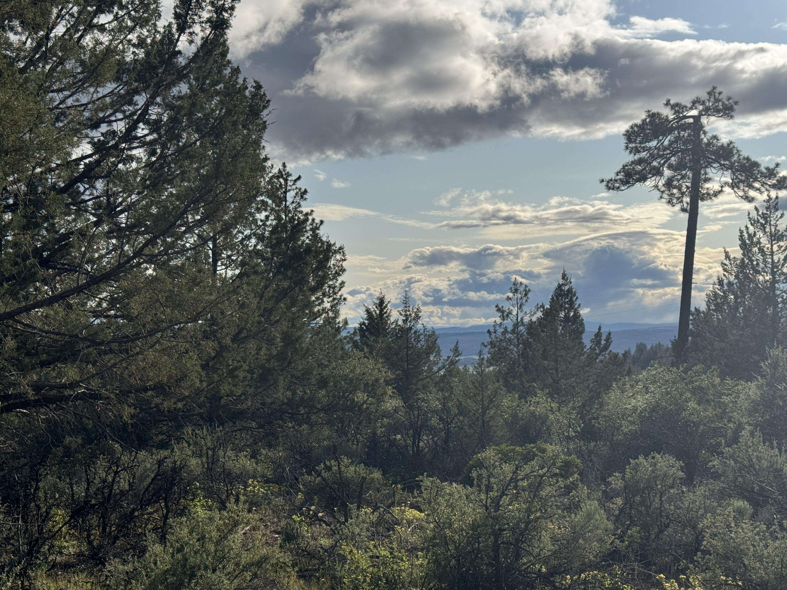 Bonanza, OR 97623,Lot 14 Grizzly LN